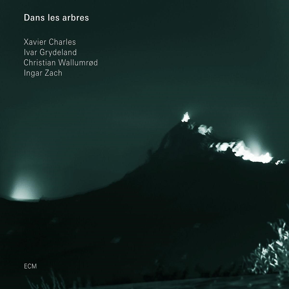 Afbeelding van Christian Wallumrod, Ivar Grydeland, Xavier Charles, Ingar Zach - Dans Les Arbres