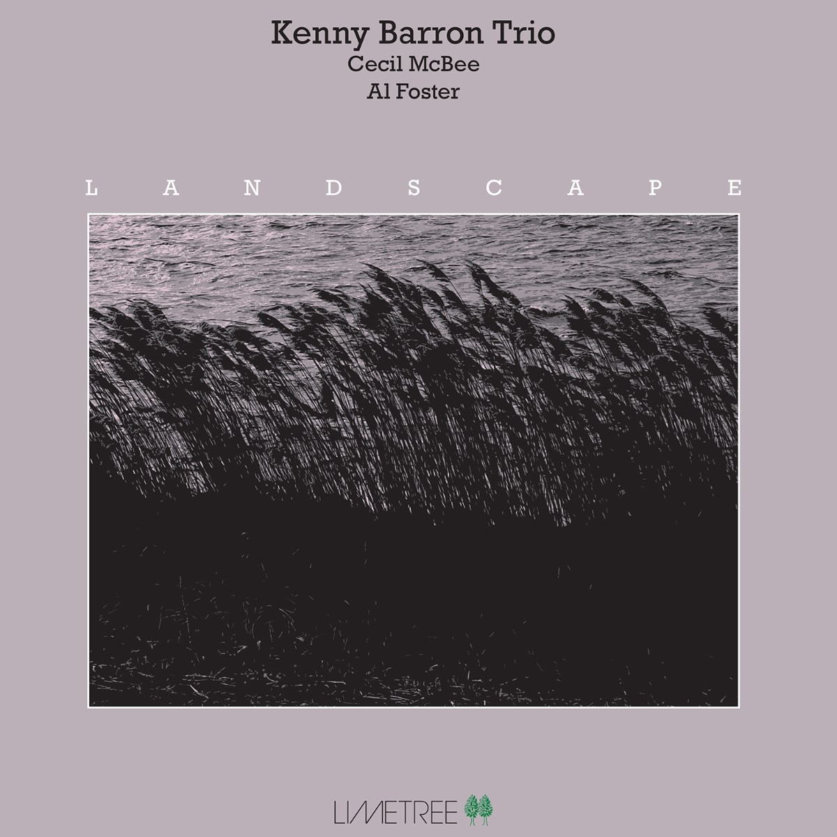 Kenny Barron Trio - Landscape