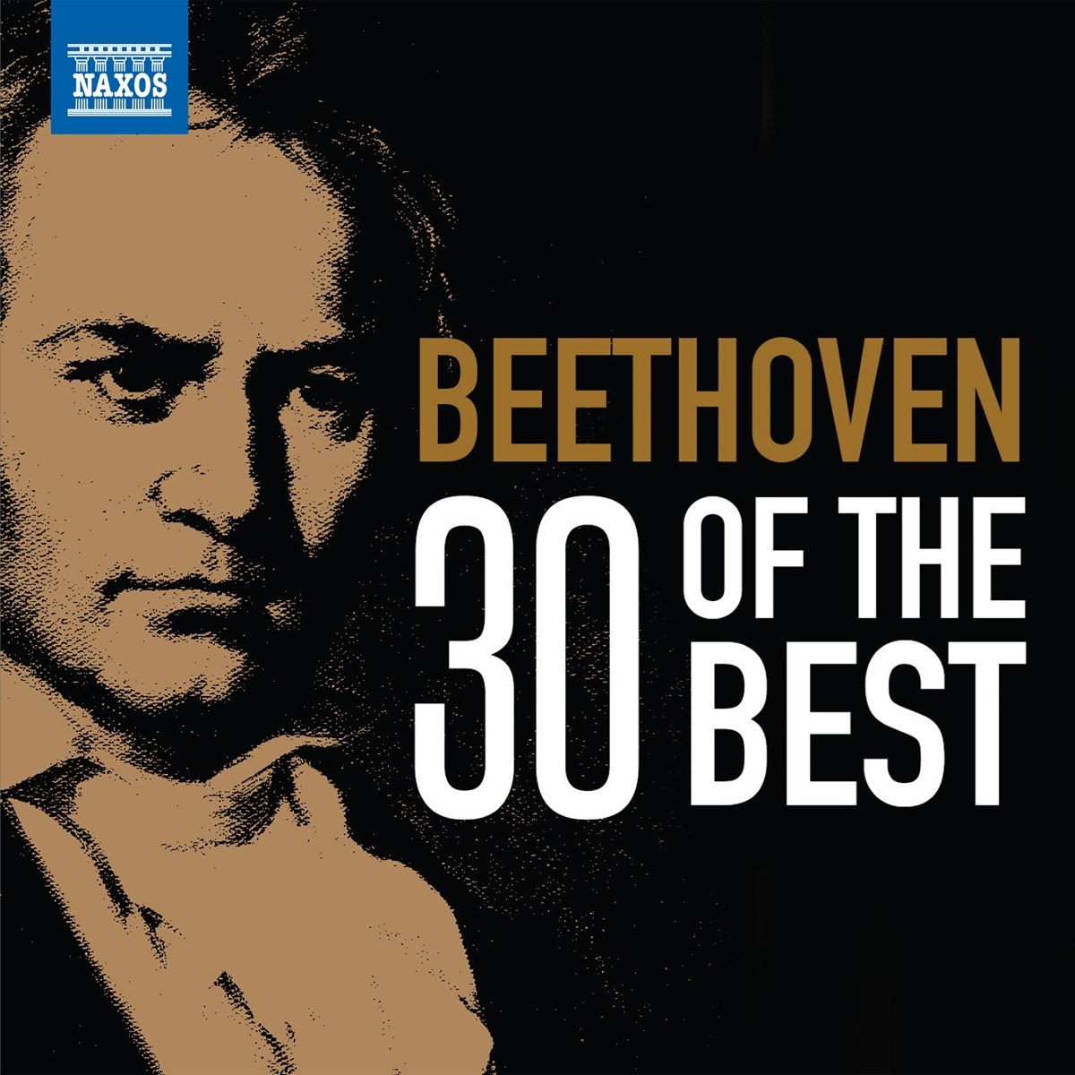 Afbeelding van Boris Giltburg, Jeno Jandó, Richard Edlinger - Beethoven: 30 Of The Best