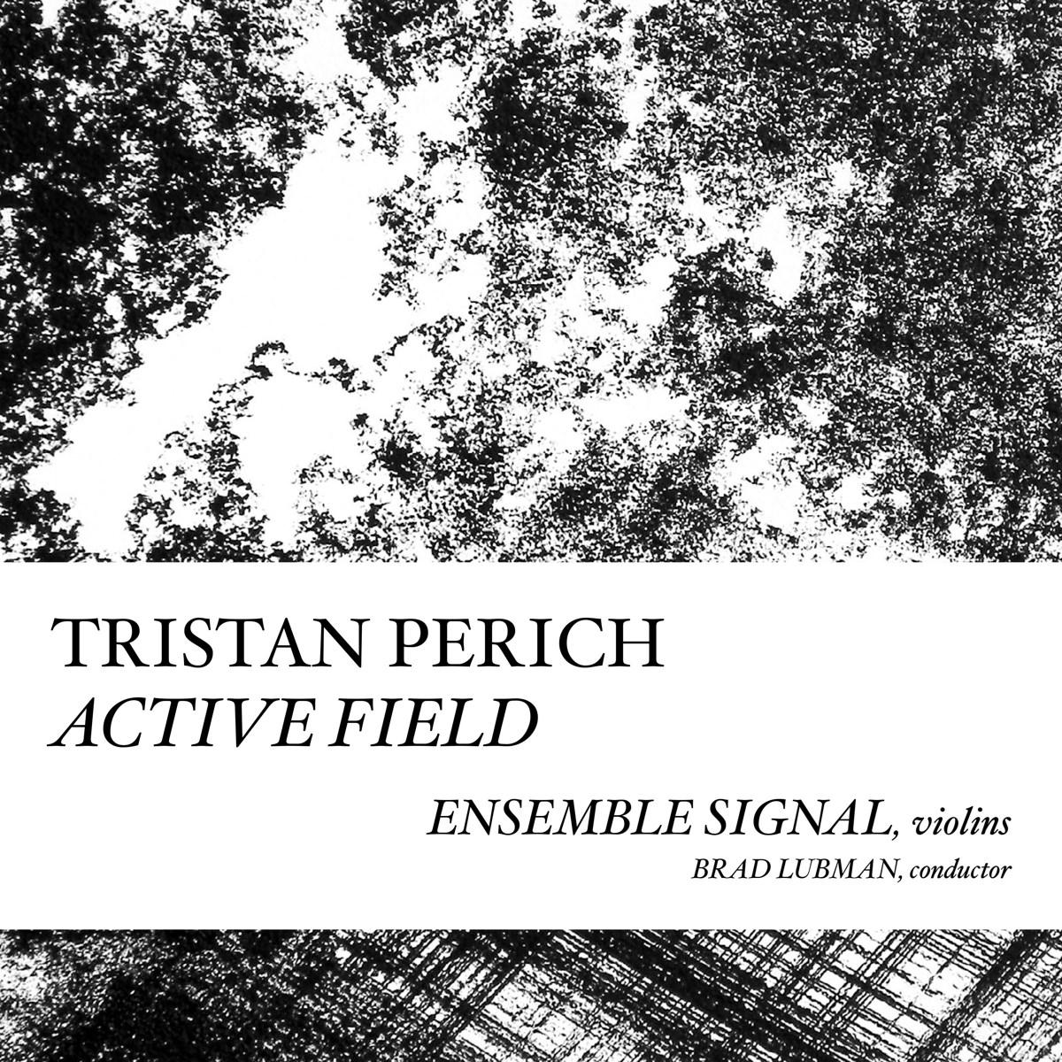 Afbeelding van Compositions: Active Field