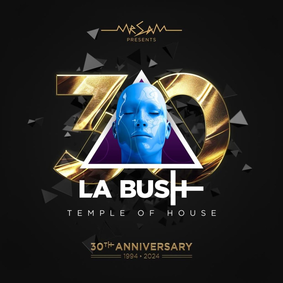 Afbeelding van Various Artists - La Bush 30 Years
