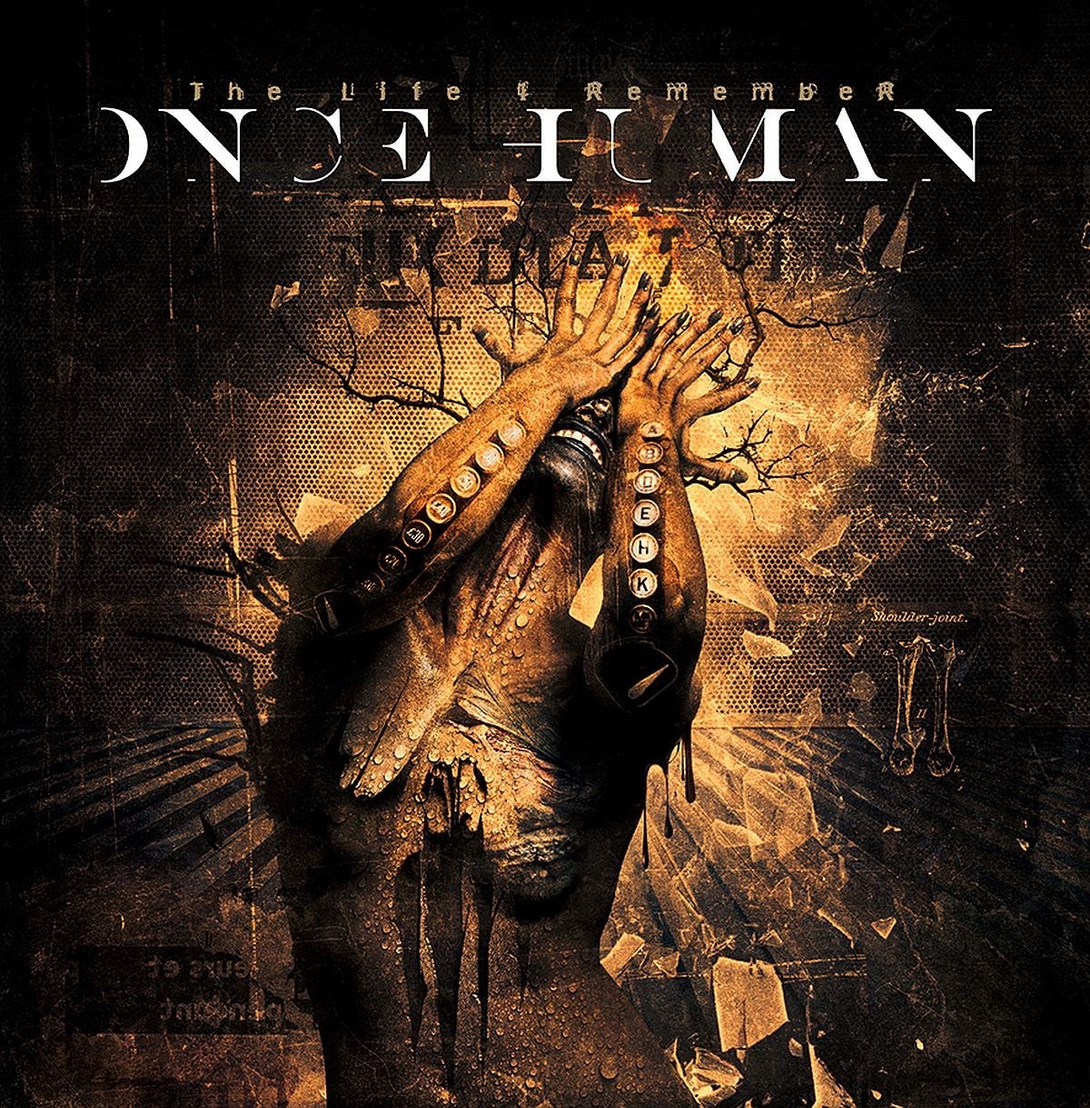 Afbeelding van Once Human - The Life I Remember