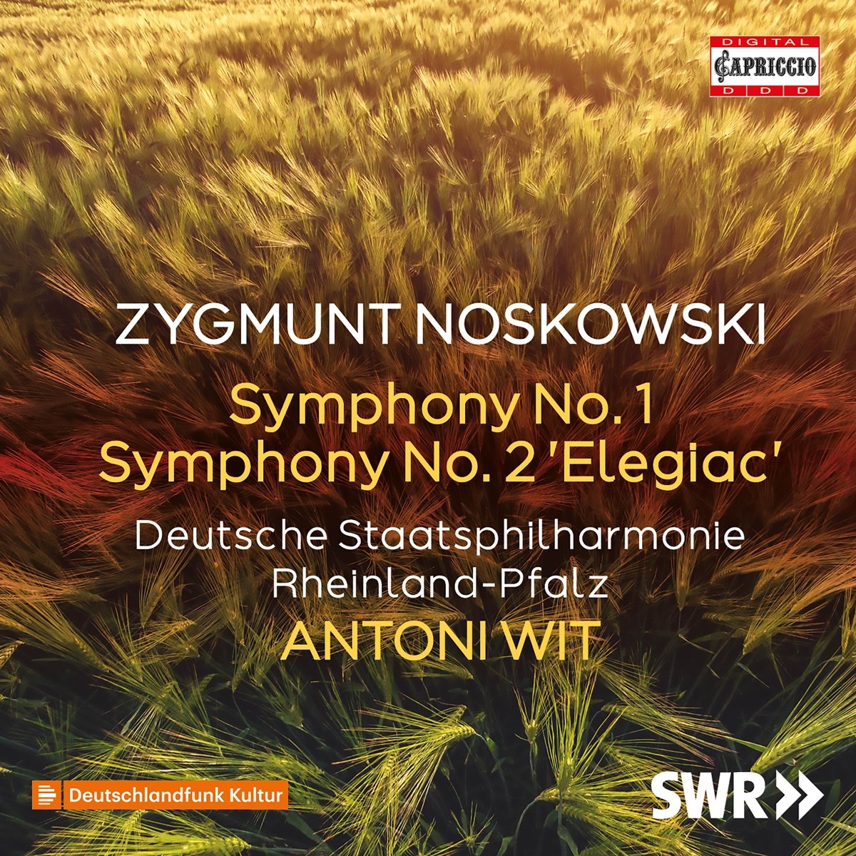 Afbeelding van Deutsche Staatsphilharmonie Rheinland-Pfalz, Antoni Wit - Symphony No. 2 Elegiac - Symphony No. 1