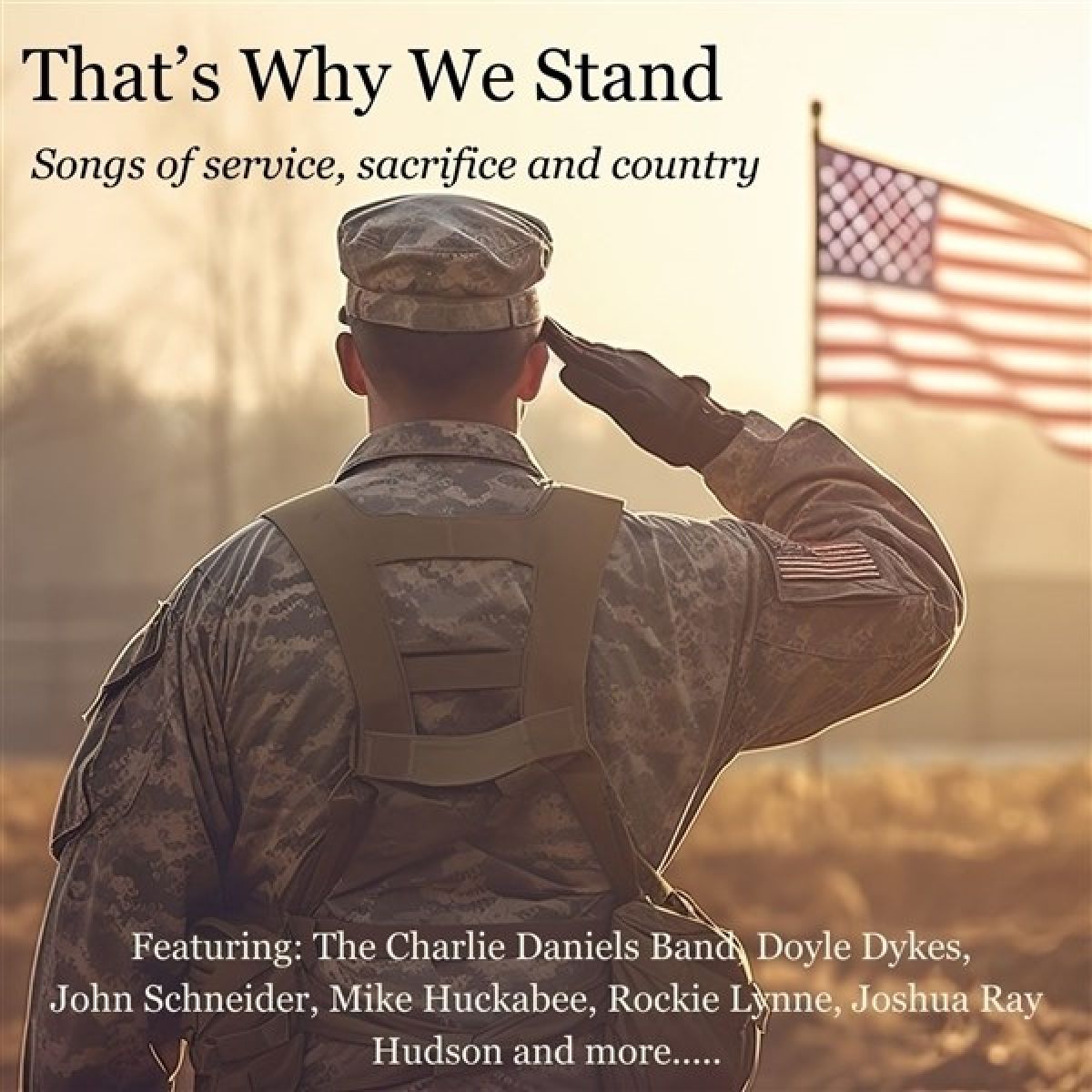 Afbeelding van Various Artists - That's Why We Stand
