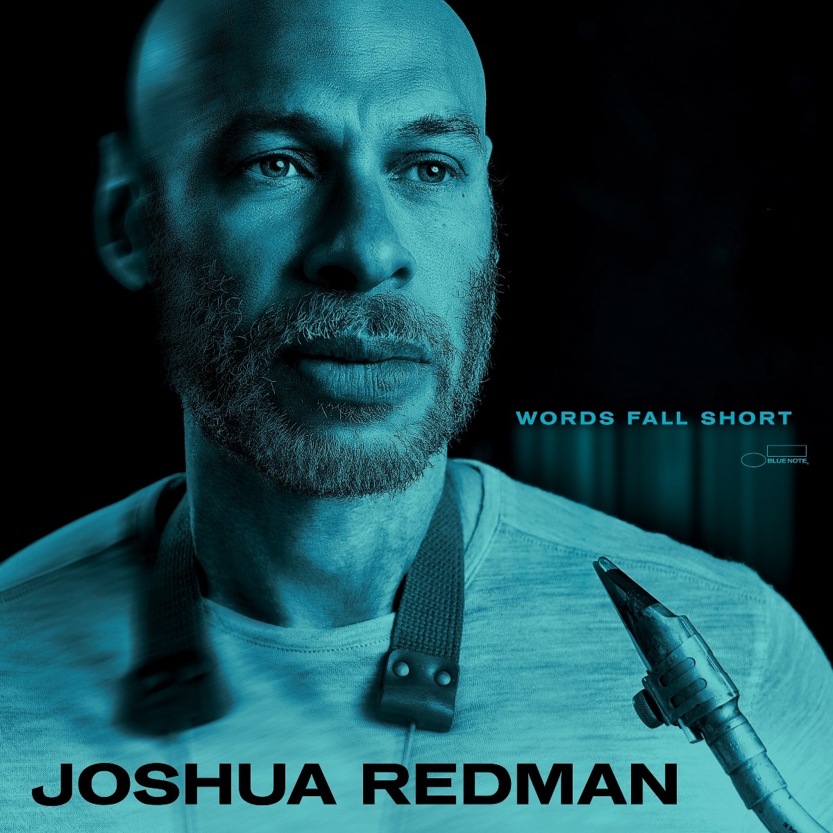 Afbeelding van Joshua Redman - Words Fall Short