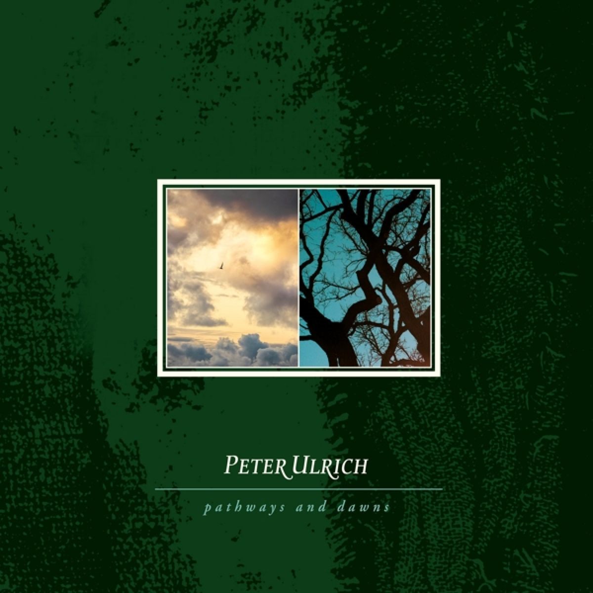 Afbeelding van Peter Ulrich - Pathways And Dawns