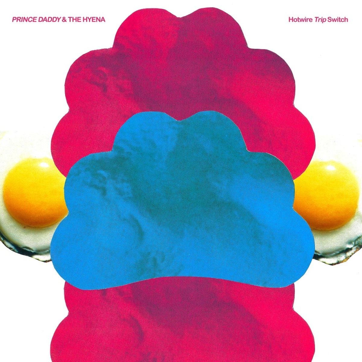 Afbeelding van Prince Daddy & The Hyena - Hotwire Trip Switch