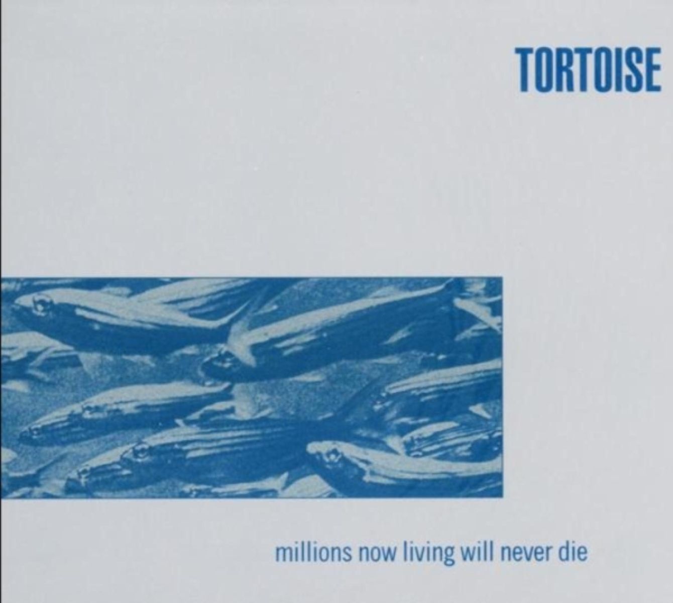 Tortoise - Infinite Love