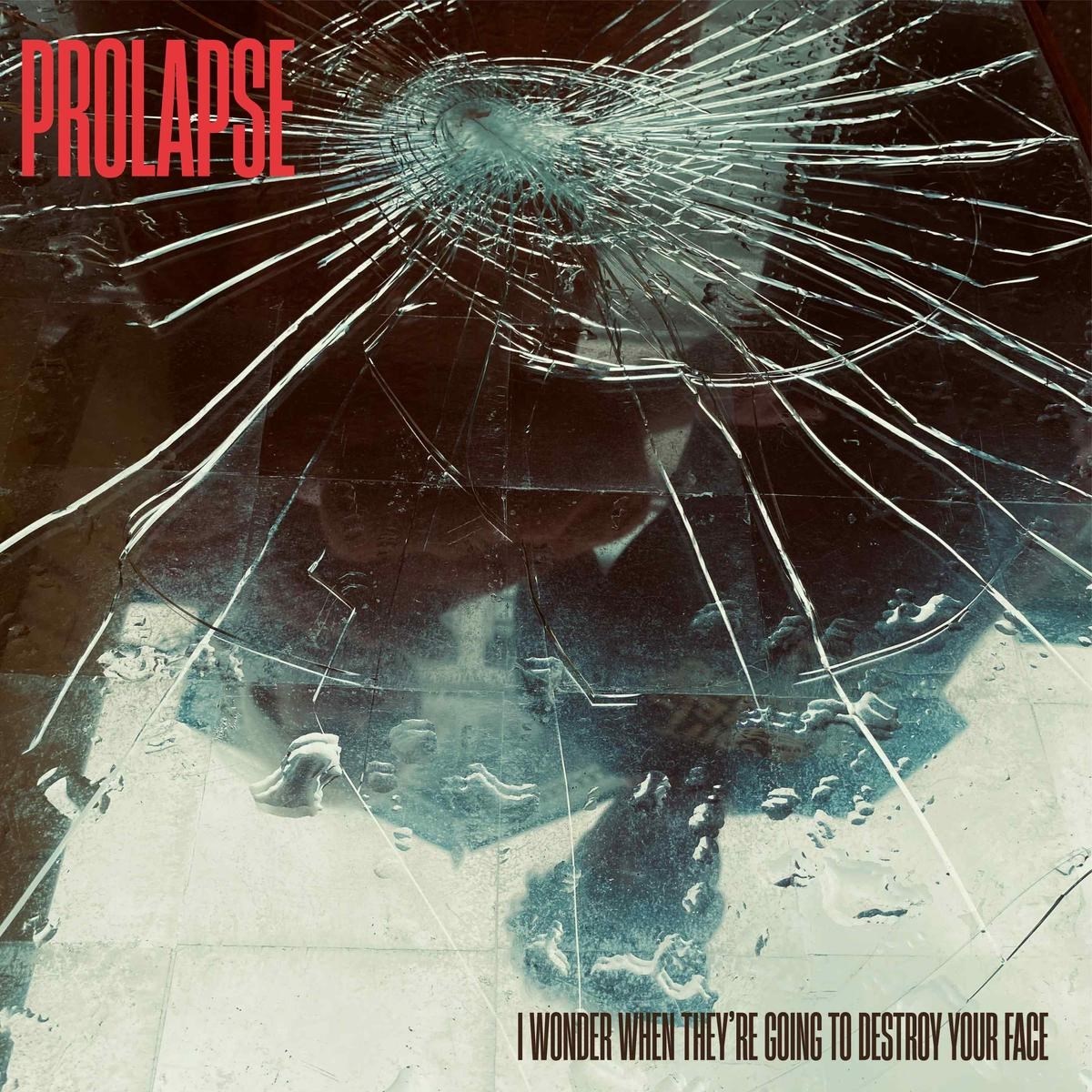 Afbeelding van Prolapse - I Wonder When They're Going To Destroy Your Face