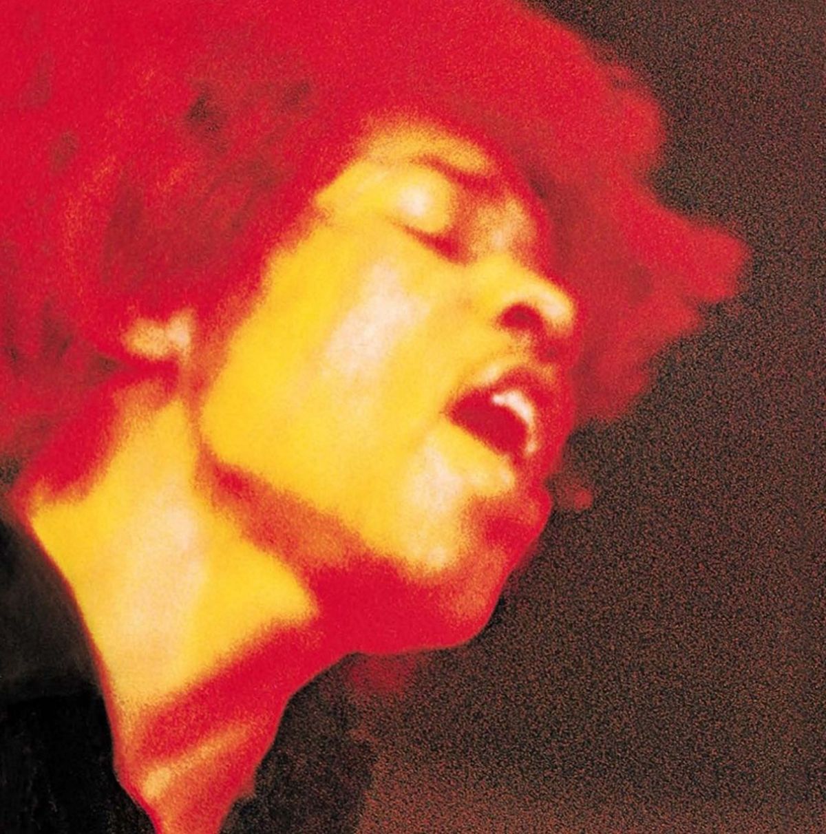Afbeelding van The Jimi Hendrix Experience - Electric Ladyland