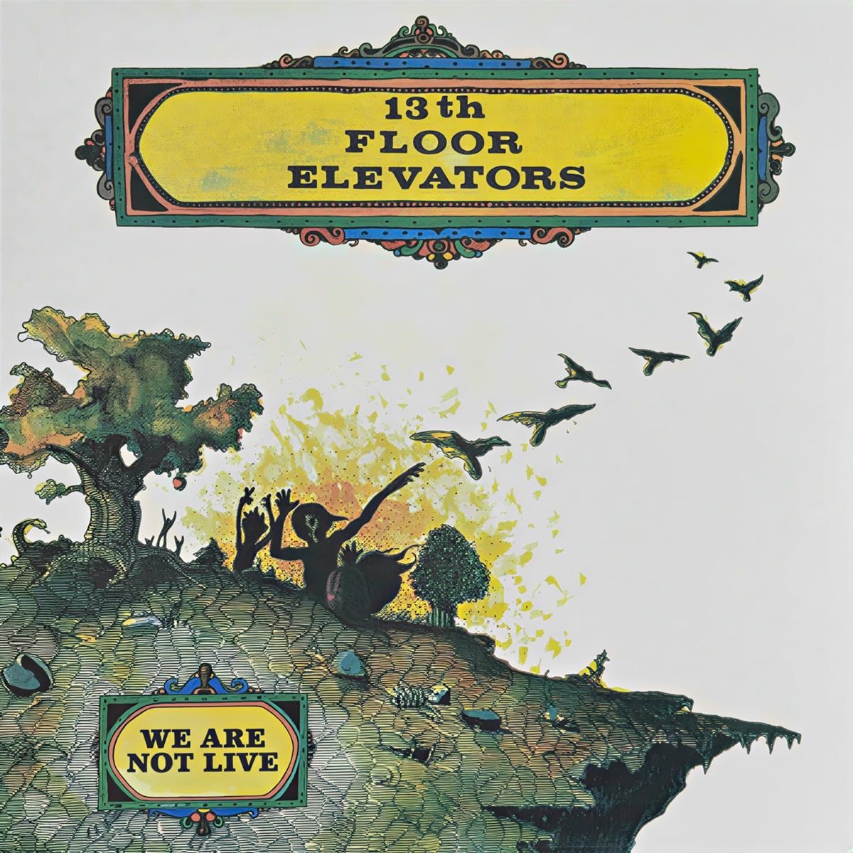 Afbeelding van 13th Floor Elevators - We Are Not Live