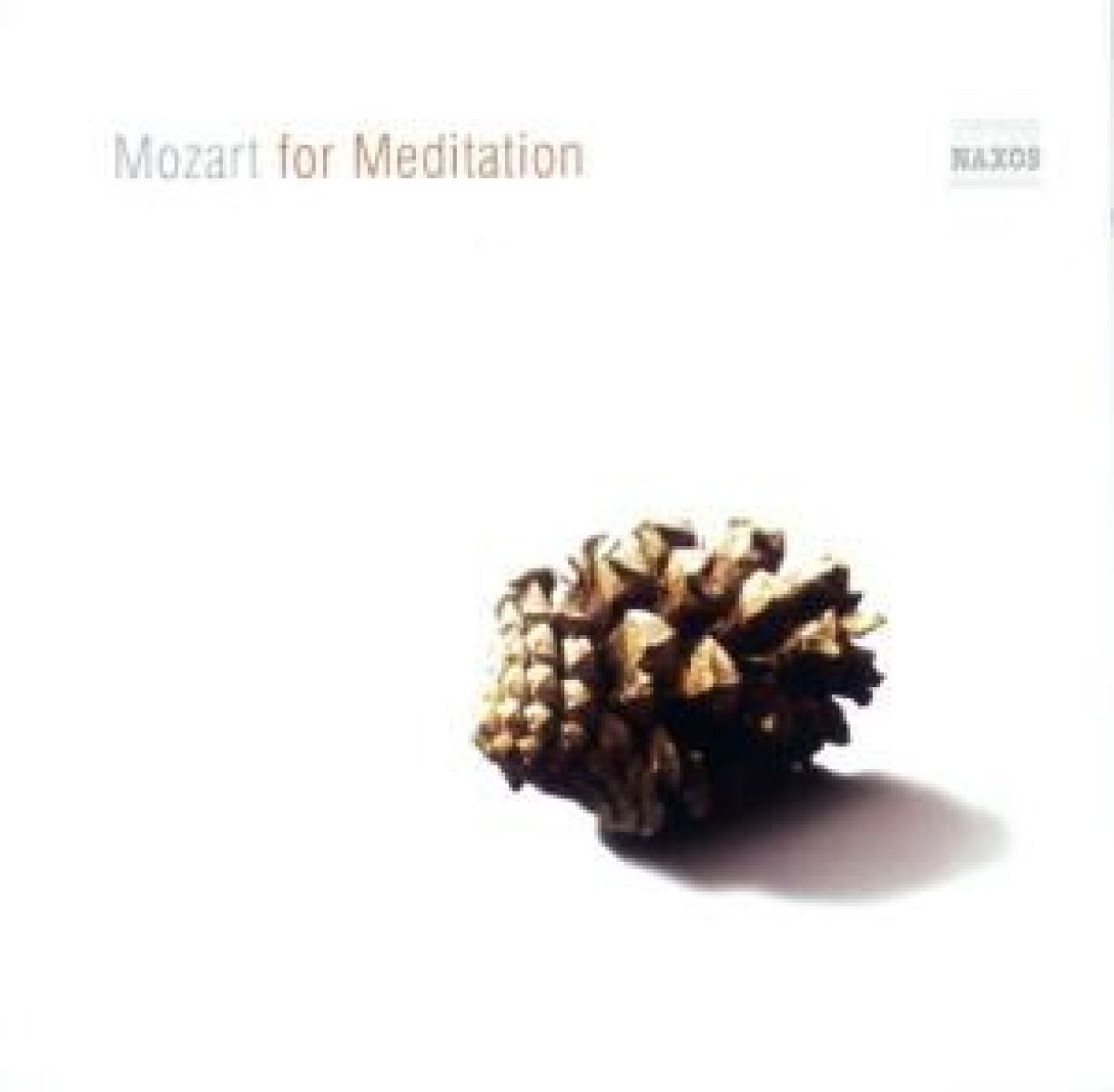 Afbeelding van Various Artists - Mozart For Meditation