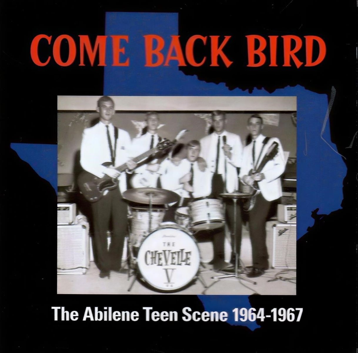 Various Artists - Come Back Bird