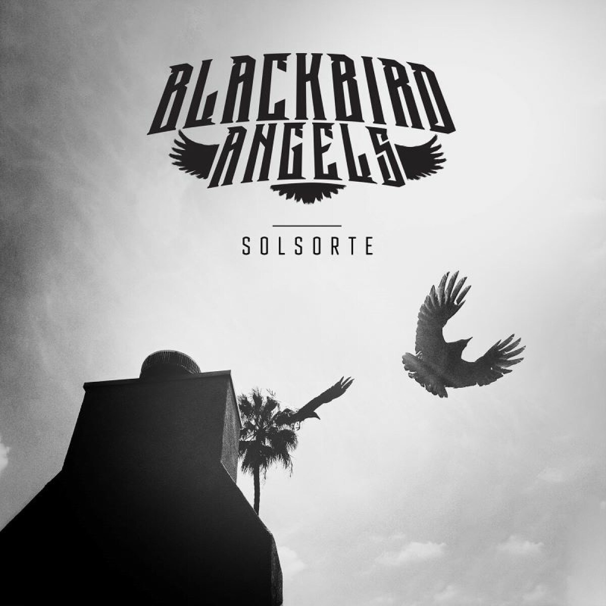 Afbeelding van Blackbird Angels - Solsorte
