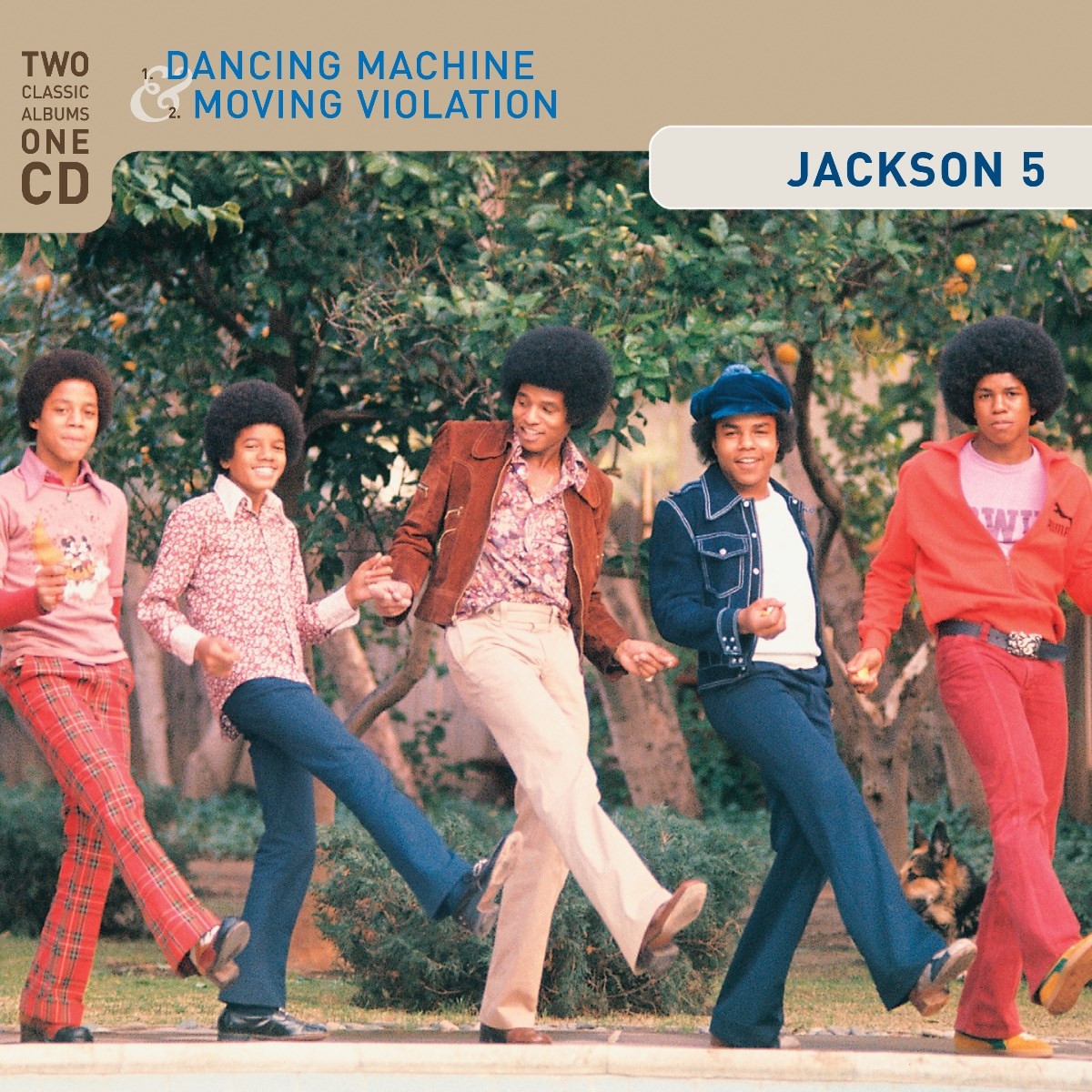 Afbeelding van Jackson 5 - Dancing Machine & Moving Violation