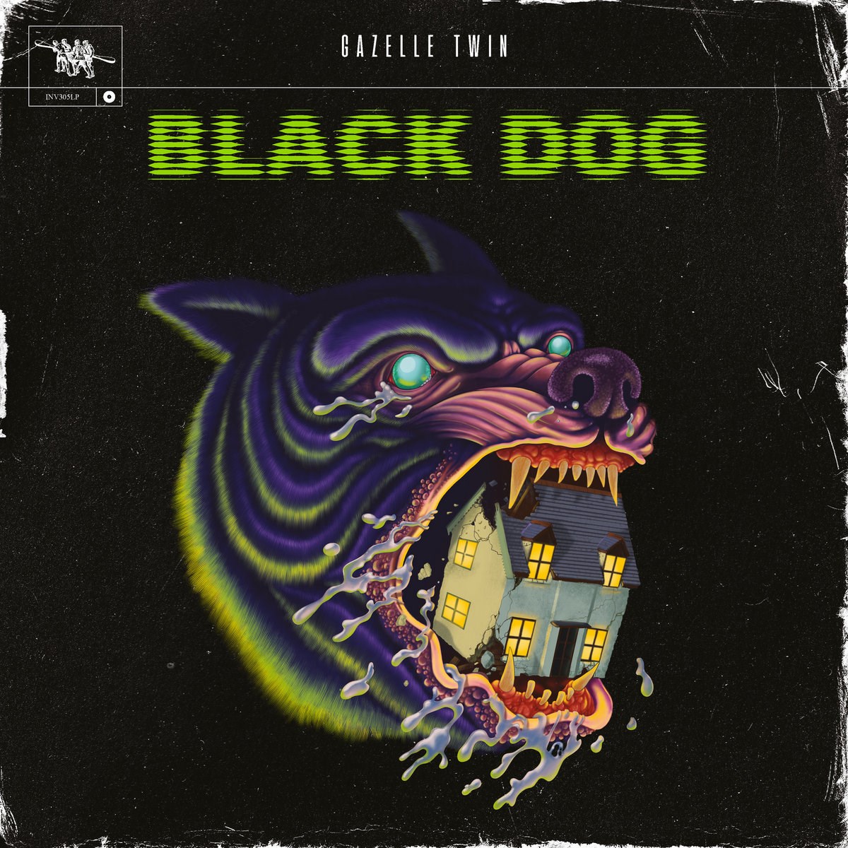 Afbeelding van Gazelle Twin - Black Dog