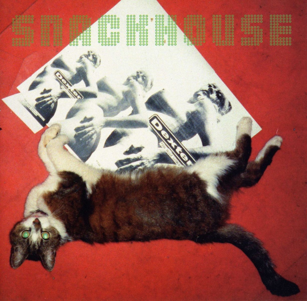 Dexter - Snackhouse