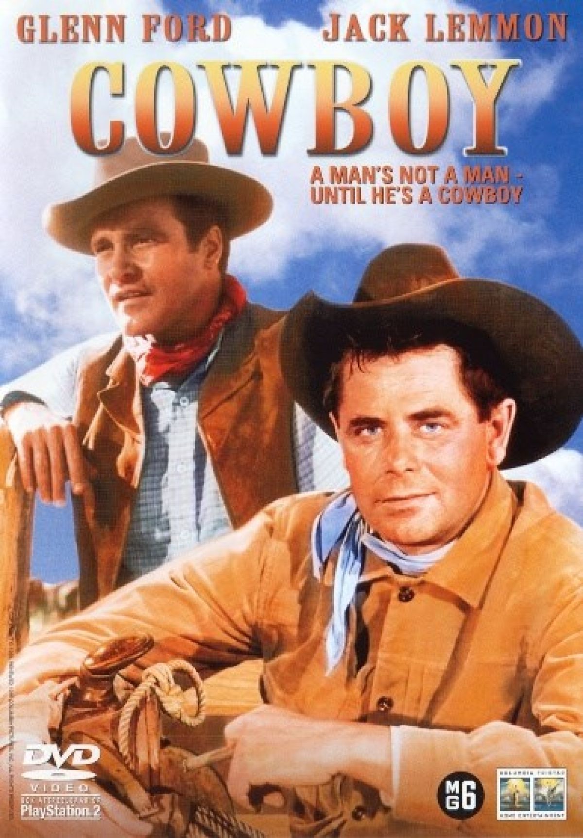 Afbeelding van Cowboy