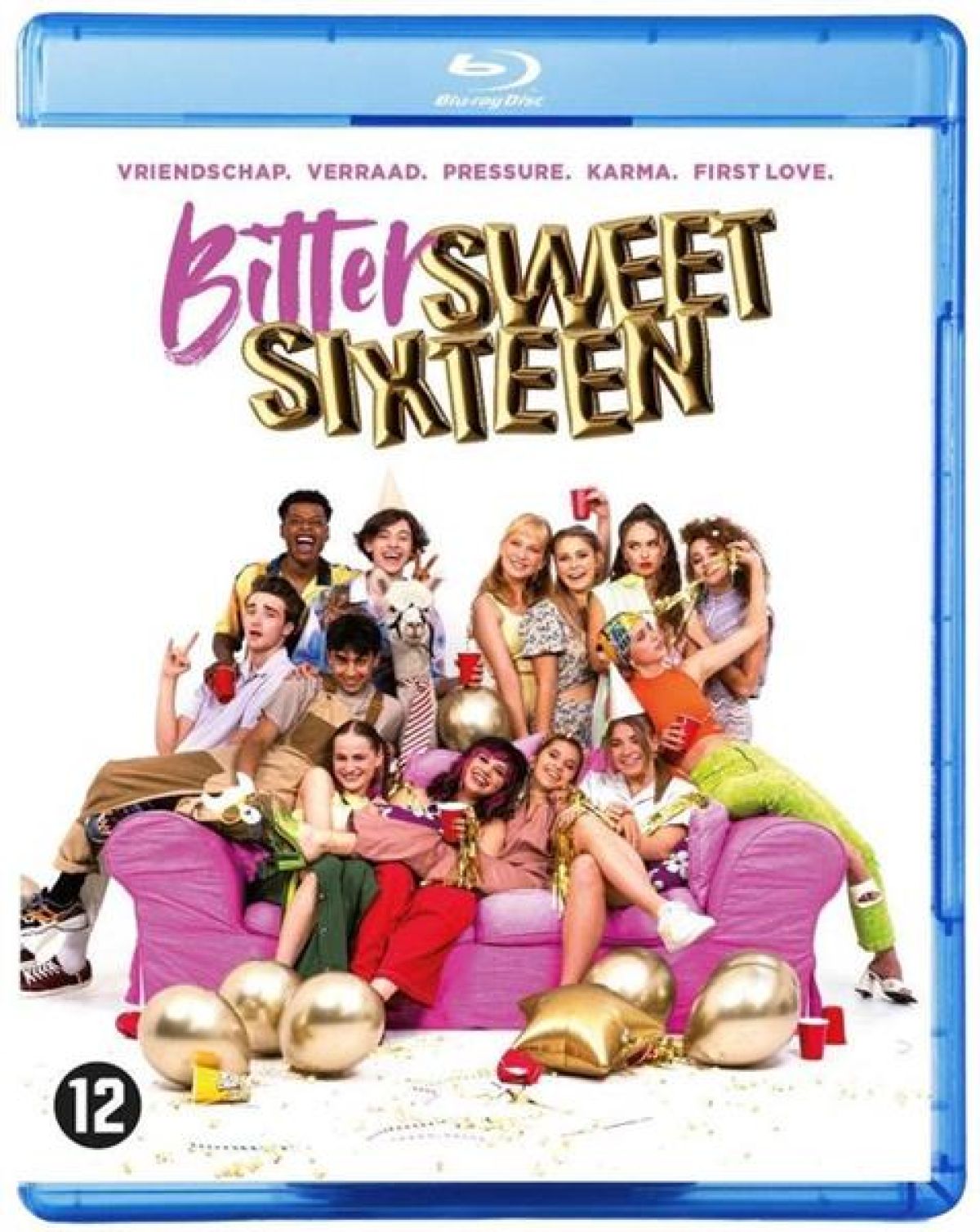 Afbeelding van Bittersweet Sixteen