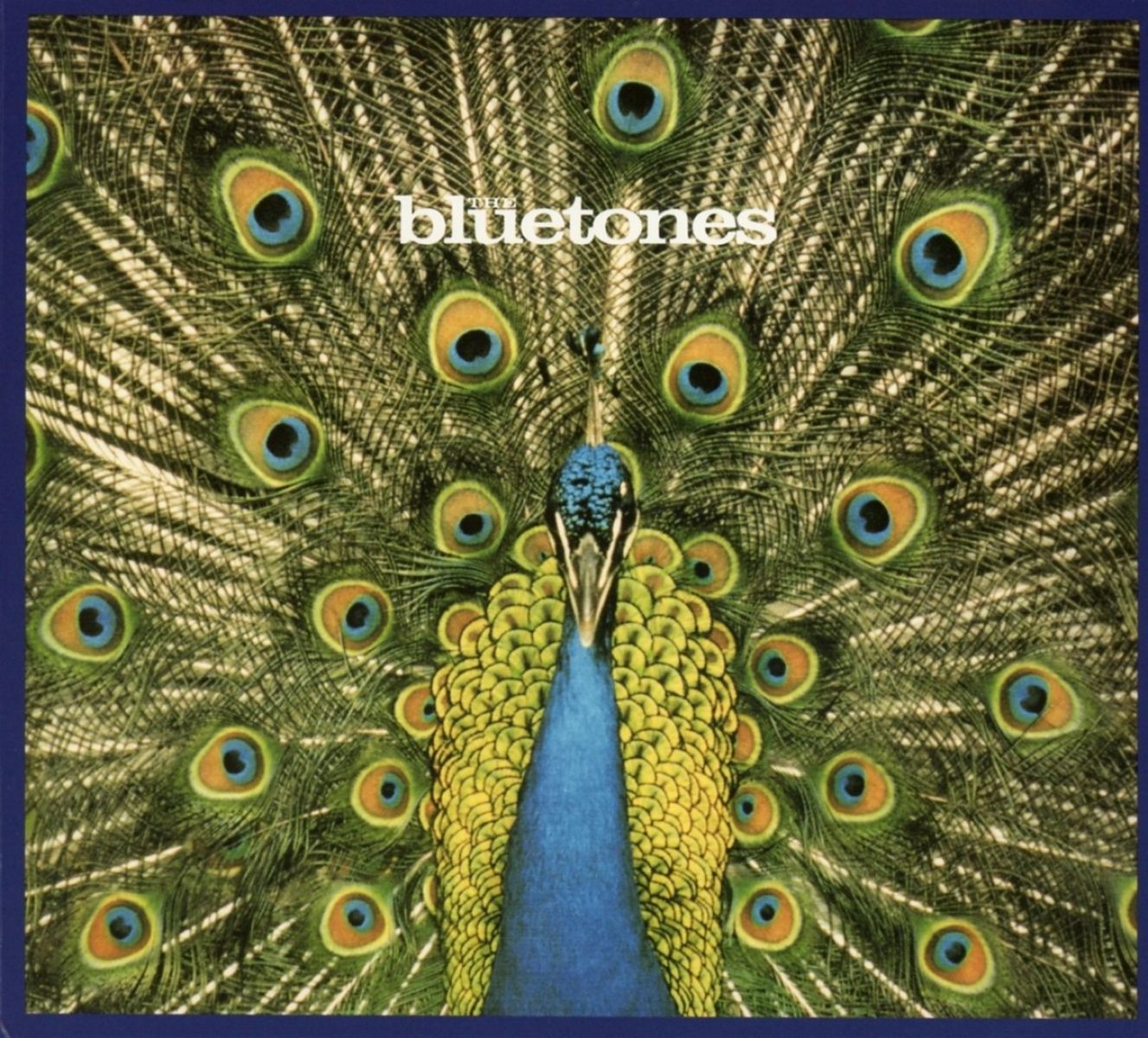 Afbeelding van The Bluetones - Expecting To Fly