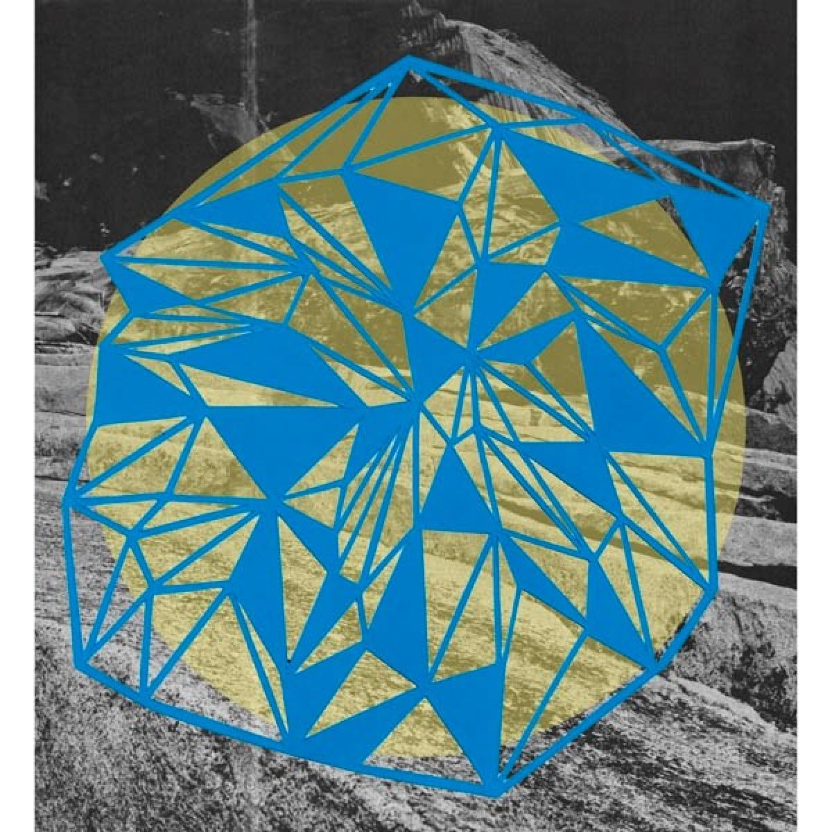 Afbeelding van Broads - Field Theory