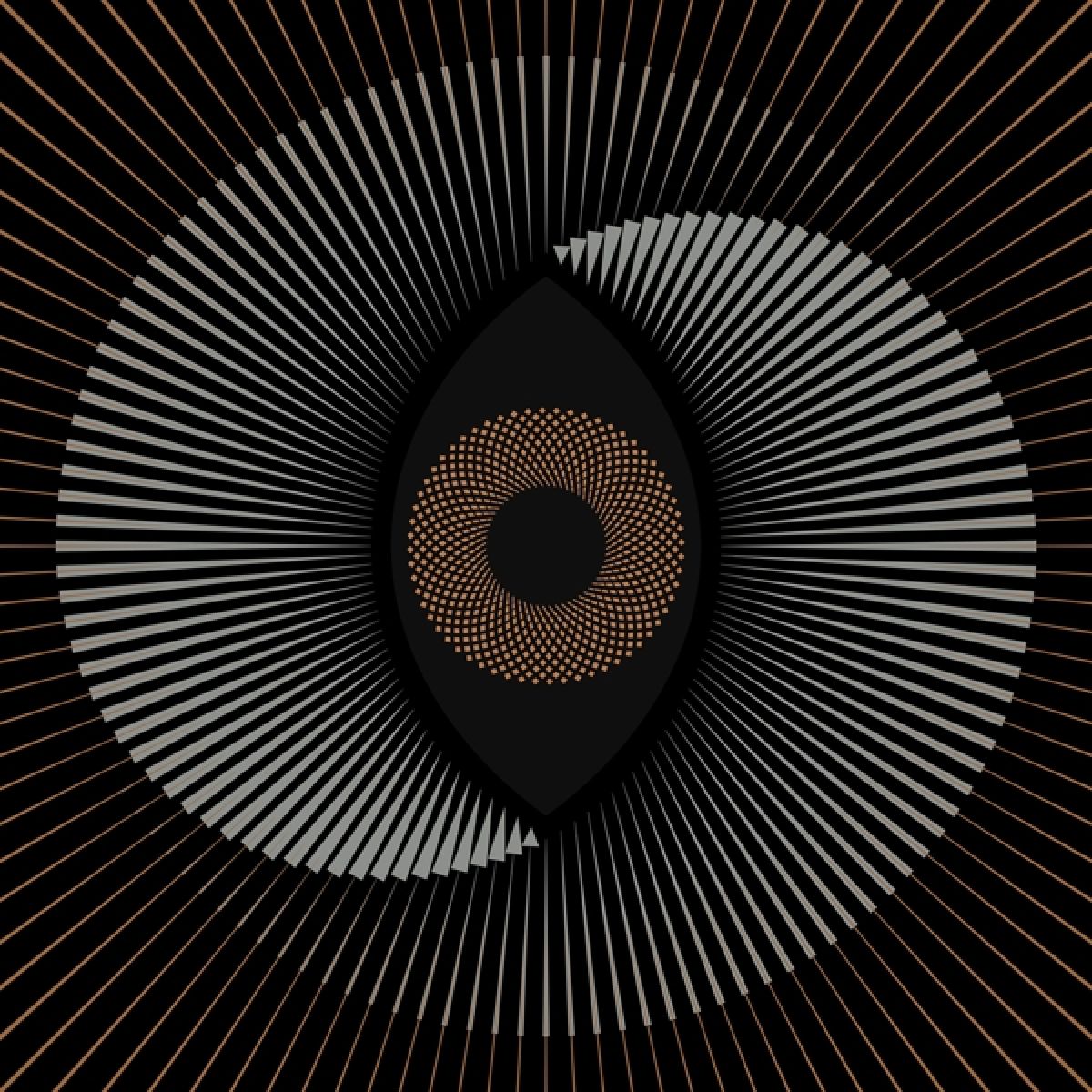 Afbeelding van The Ocean - Holocene