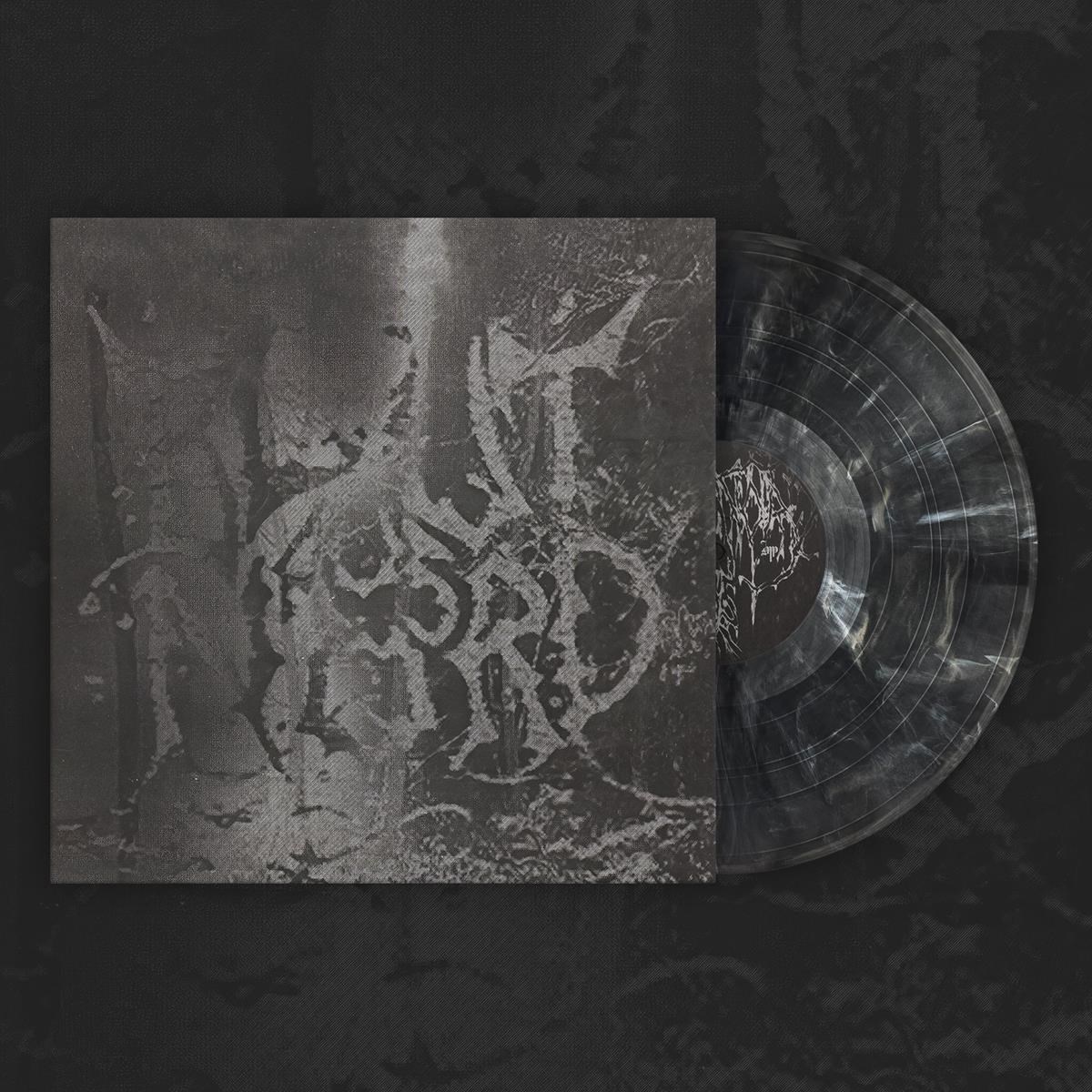 Afbeelding van Blut Aus Nord - The Work Which Transforms God