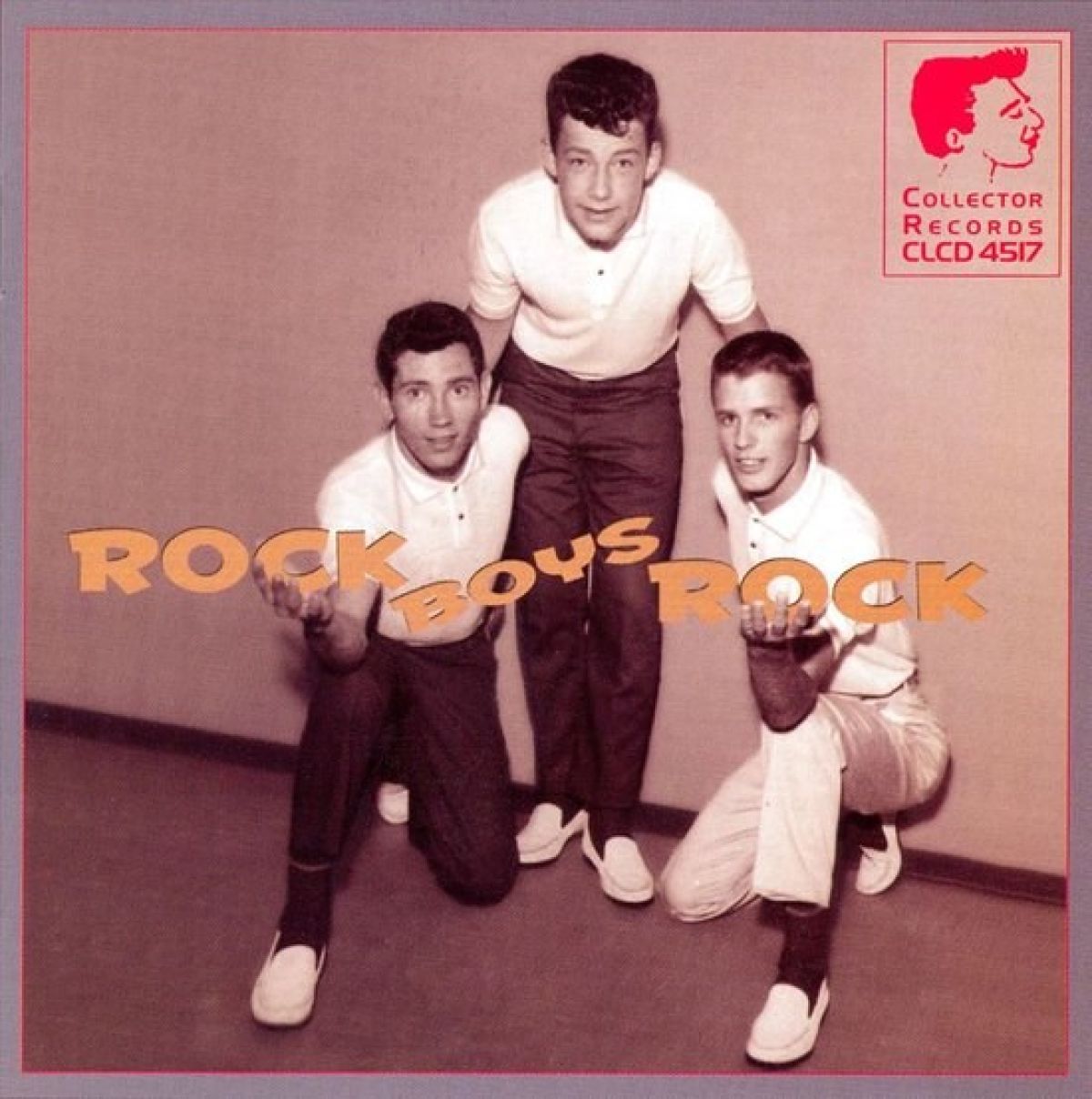 Afbeelding van Various Artists - Rock Boys Rock