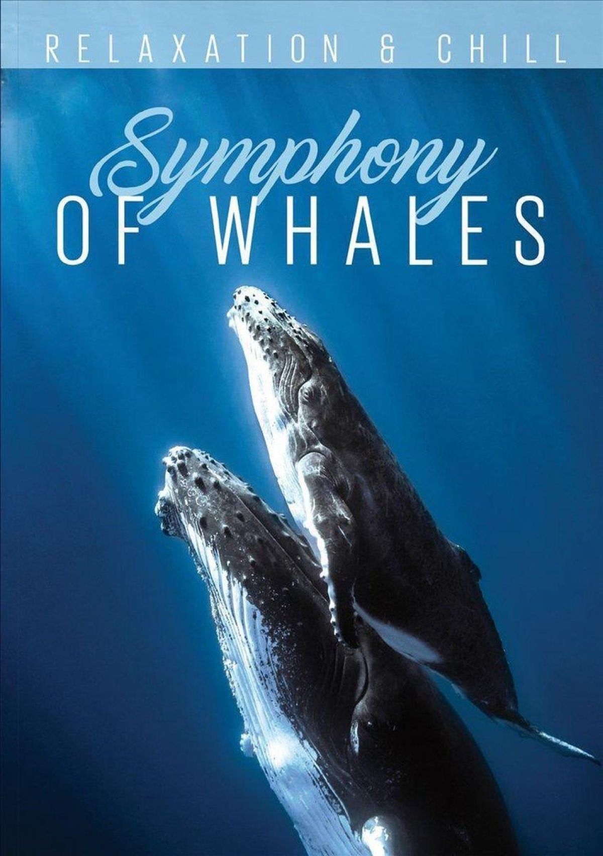 Afbeelding van Various Artists - Relax Series - Symphony Of Whales