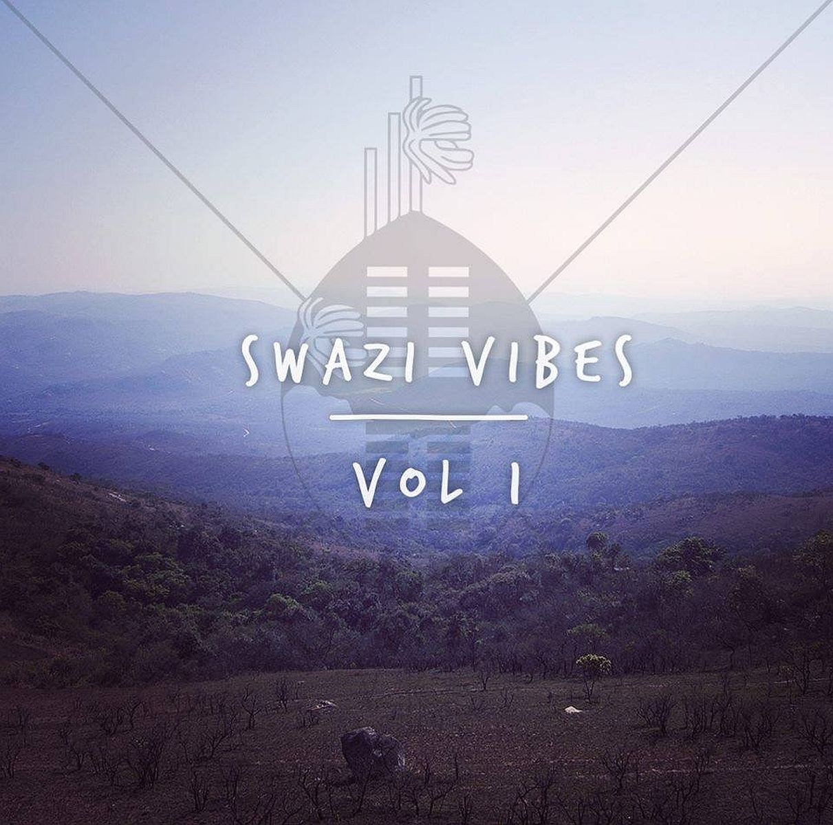 Afbeelding van Various Artists - Swazi Vibes Vol. 1