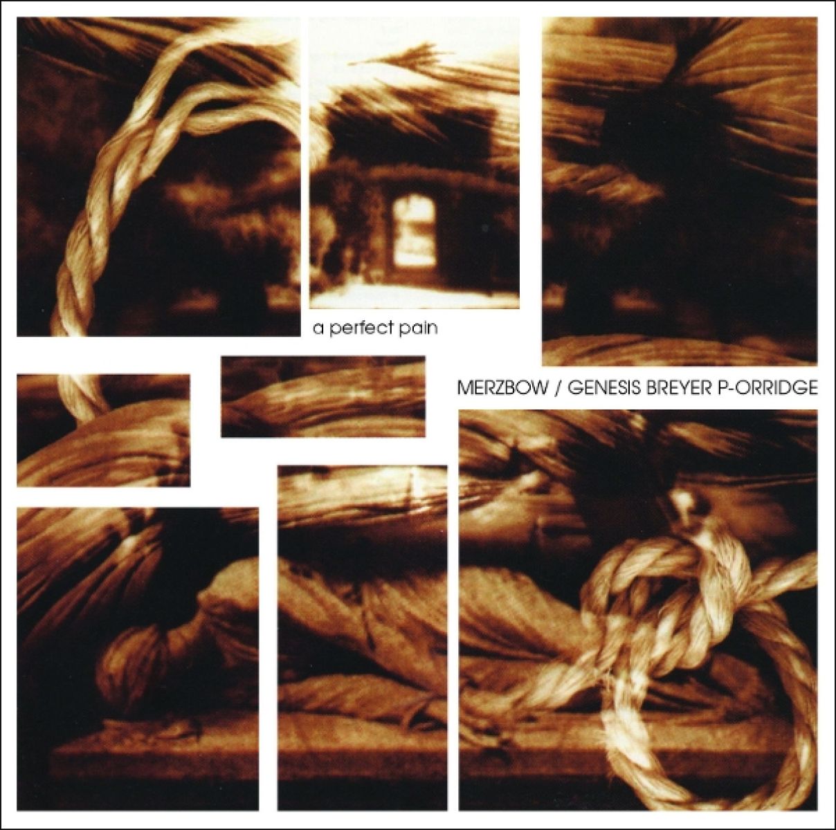 Merzbow / Genesis Breyer P-Orridge - A Perfect Pain