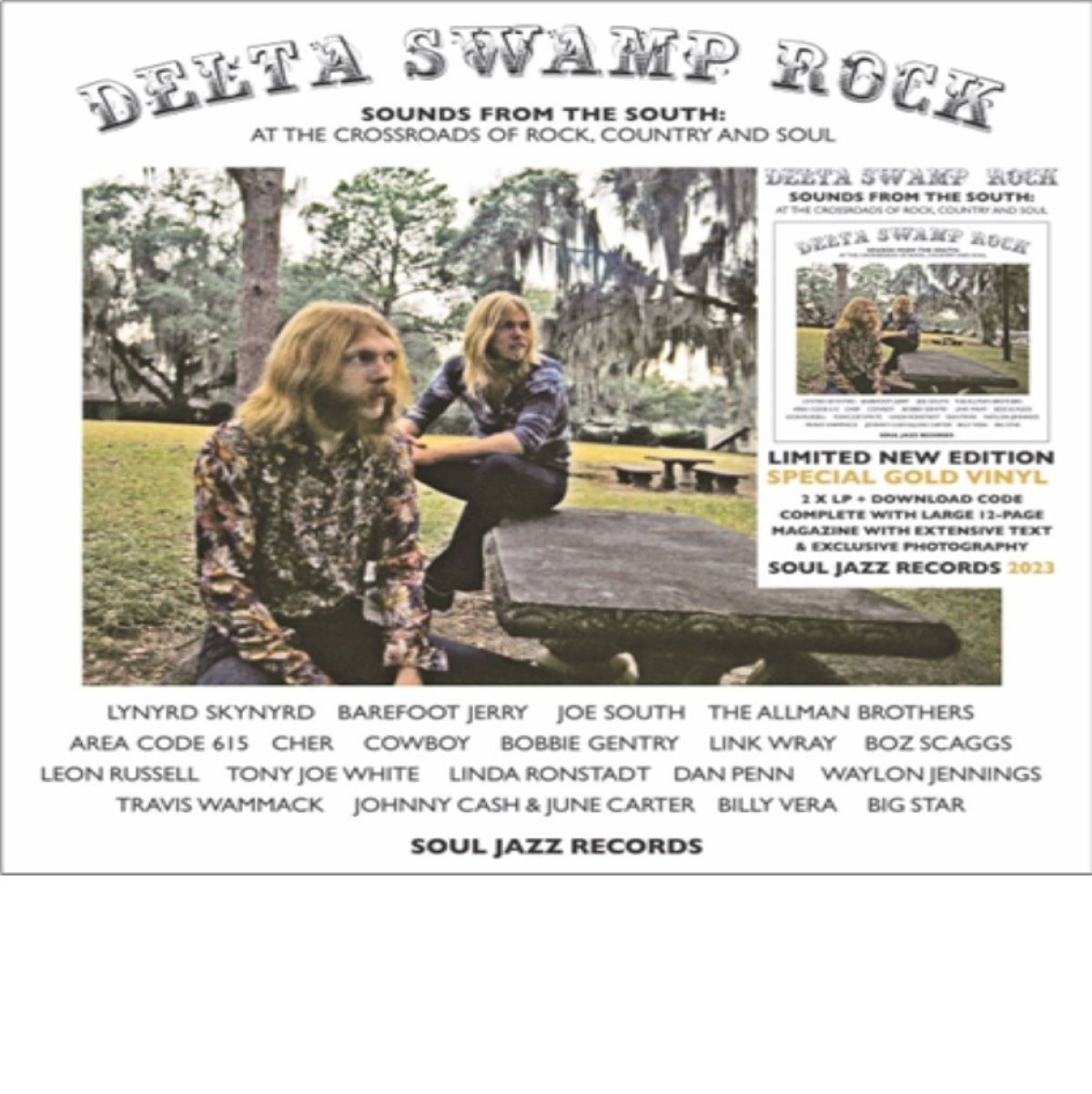 Afbeelding van Delta Swamp Rock - Sounds Of The South: At The Crossroads Of Rock, Country & Soul