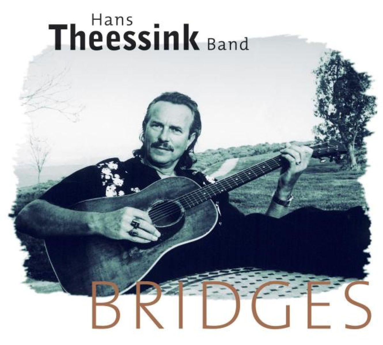 Afbeelding van Hans Theessink - Bridges