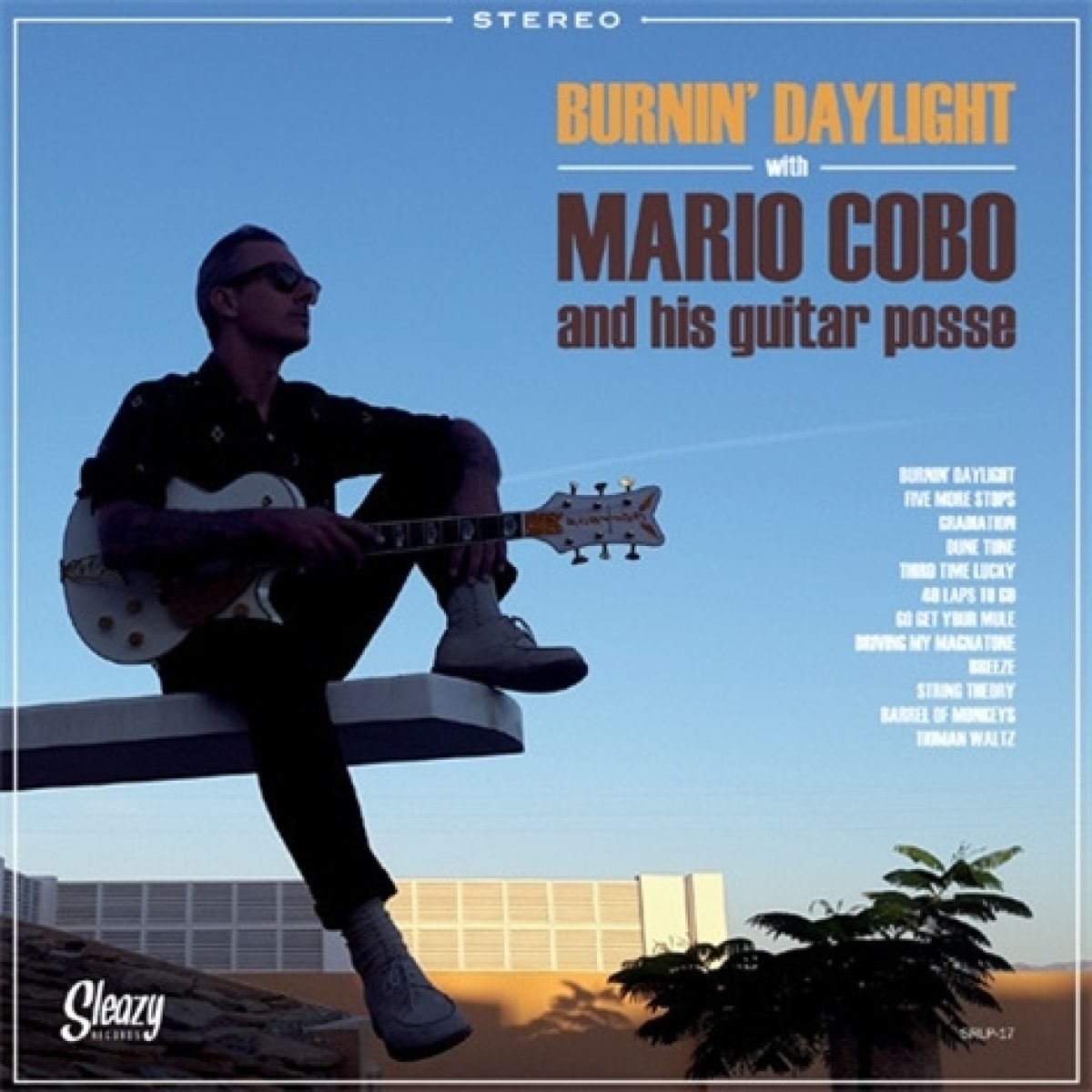 Afbeelding van Mario And His Guitar Posse Cobo - Burnin' Daylight