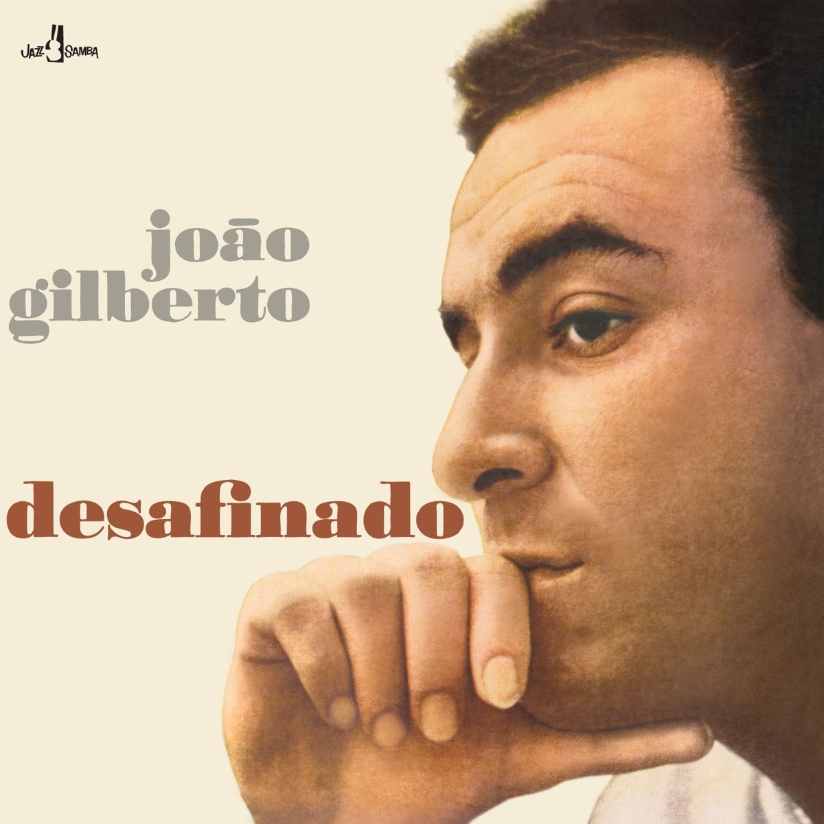 Afbeelding van João Gilberto - Desafinado