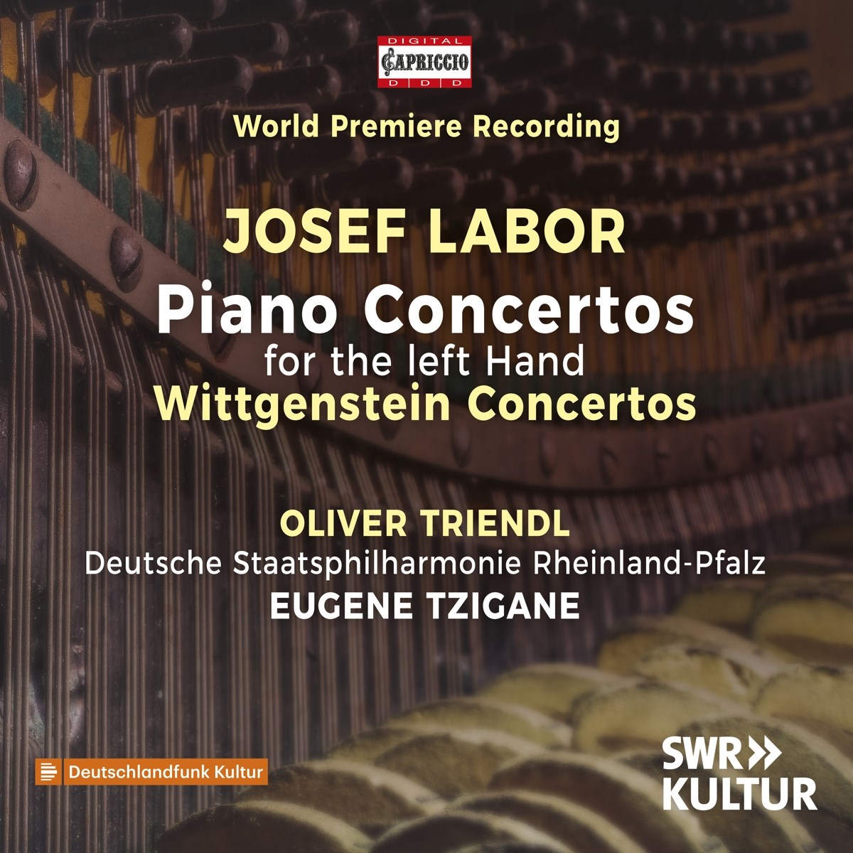 Afbeelding van Oliver Triendl, Deutsche Staatsphilharmonie Rheinland-Pfalz, Eugene Tzigane - Labor: Piano Concertos For The Left Hand