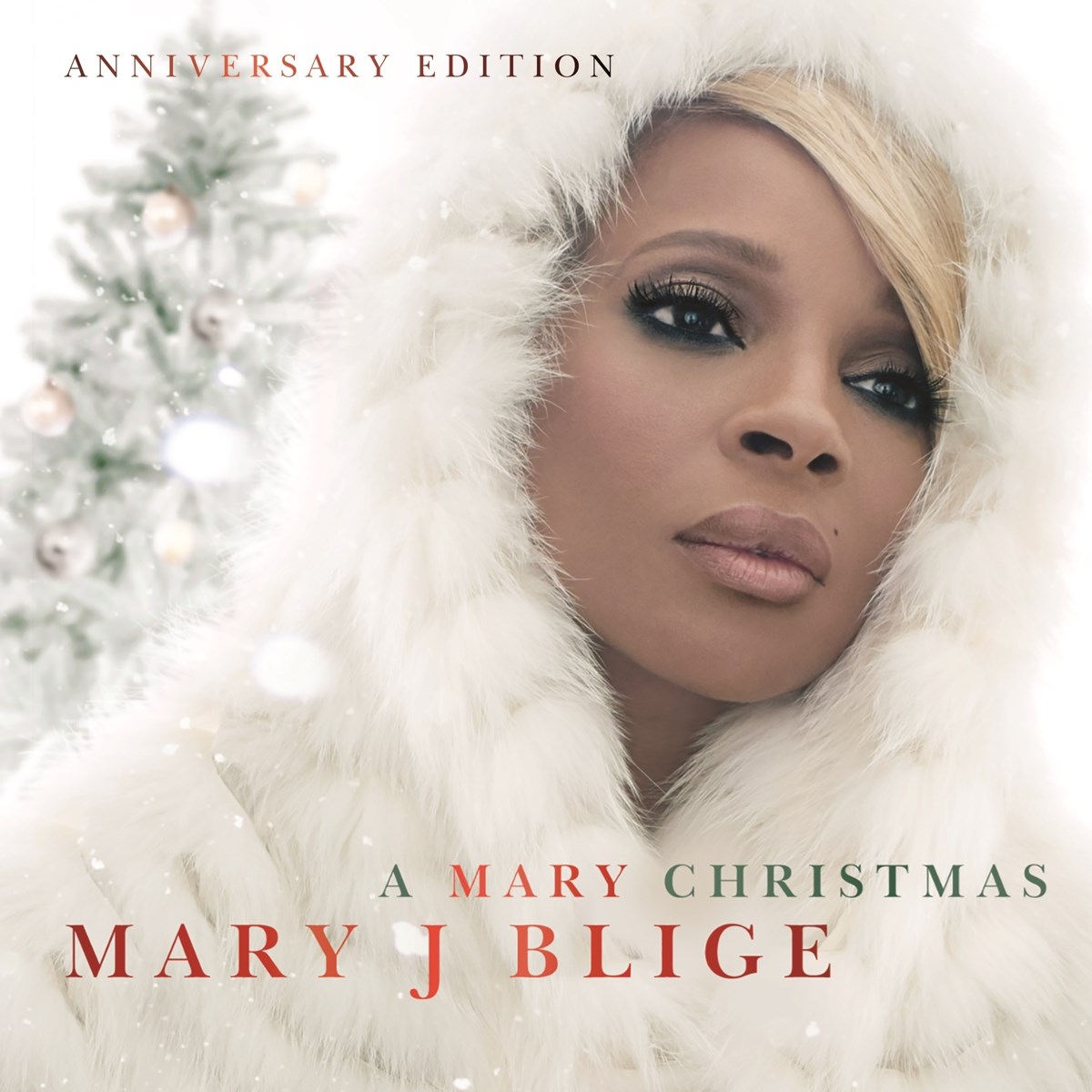 Afbeelding van Mary J. Blige - A Mary Christmas