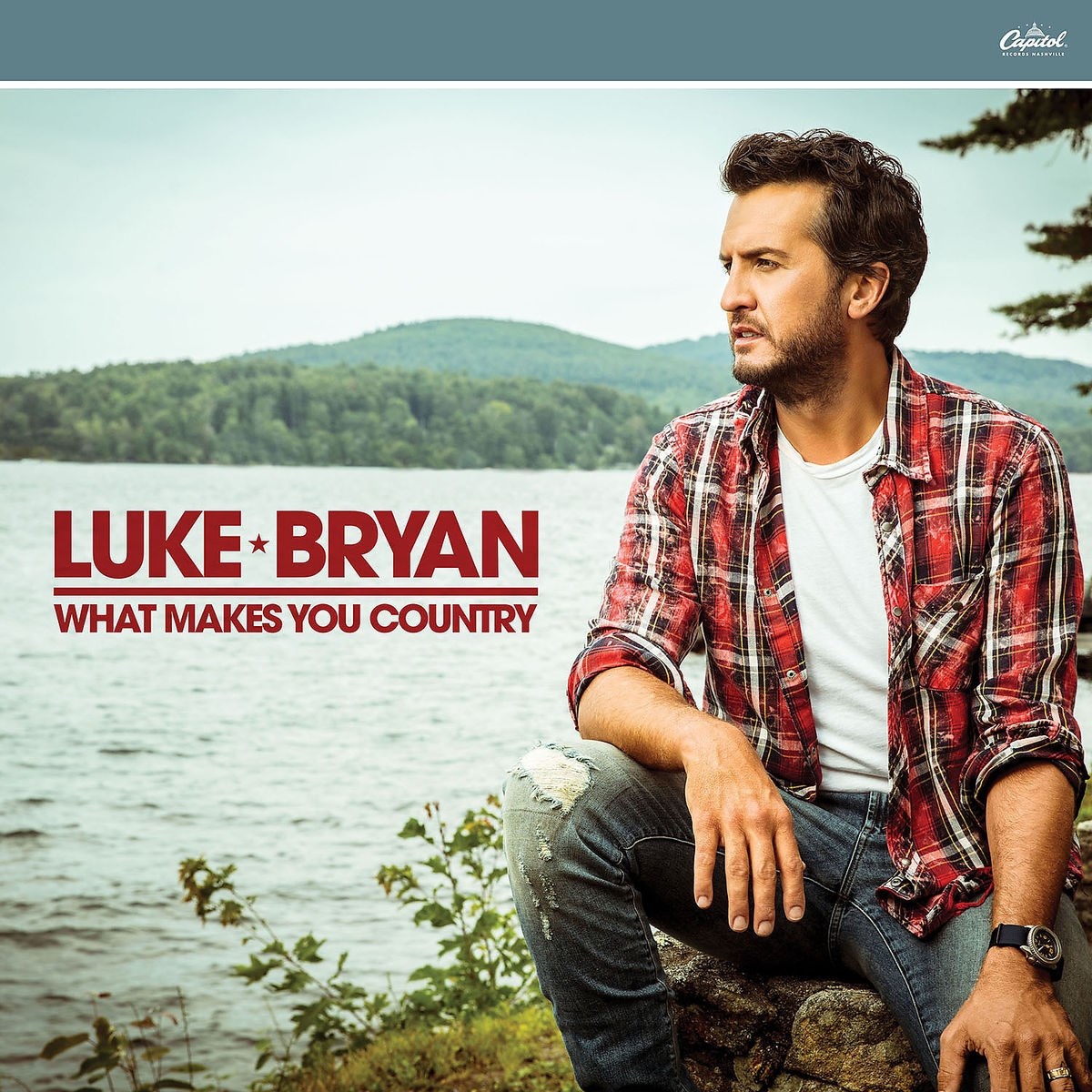 Afbeelding van Luke Bryan - What Makes You Country