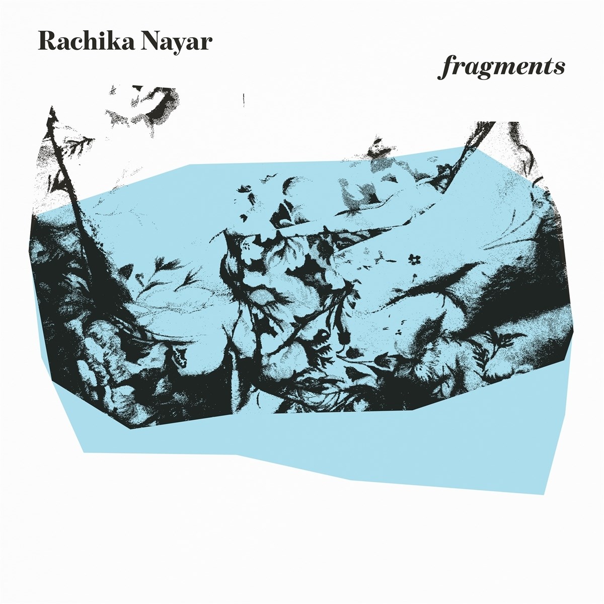 Afbeelding van Rachika Nayar - Fragments