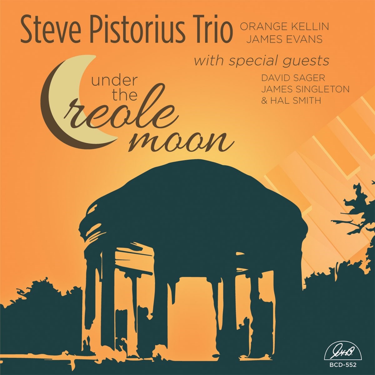 Afbeelding van Steve Pistorius Trio - Under The Creole Moon