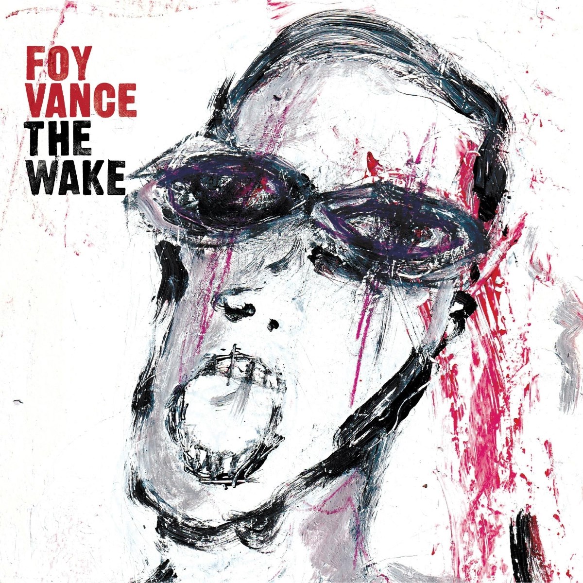 Afbeelding van Foy Vance - The Wake