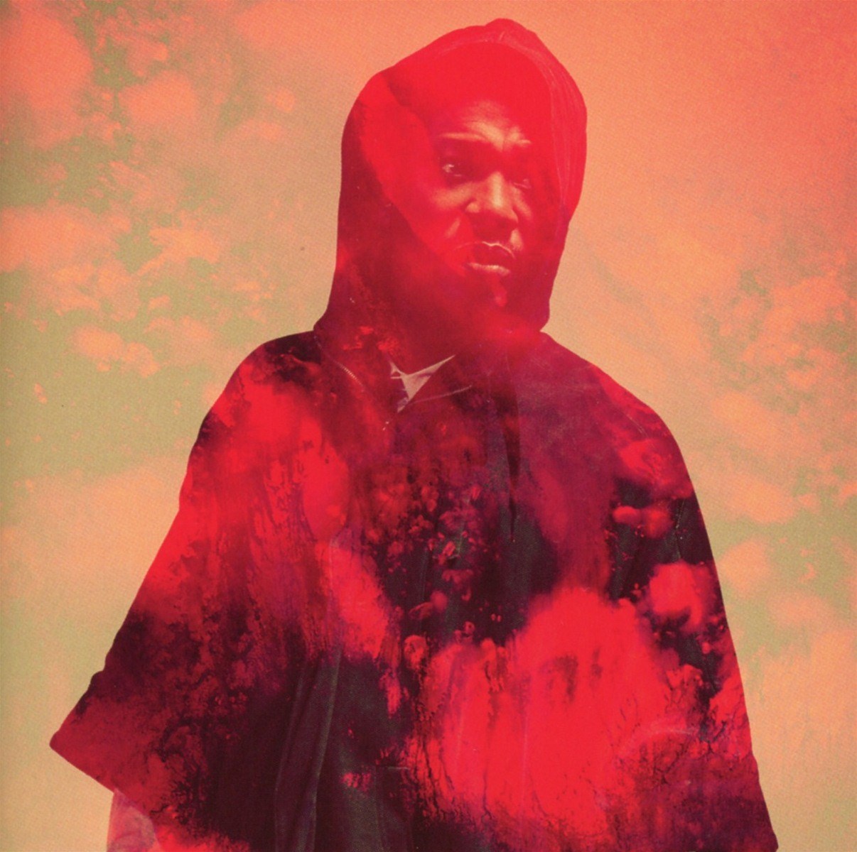 Afbeelding van Roots Manuva - Bleeds