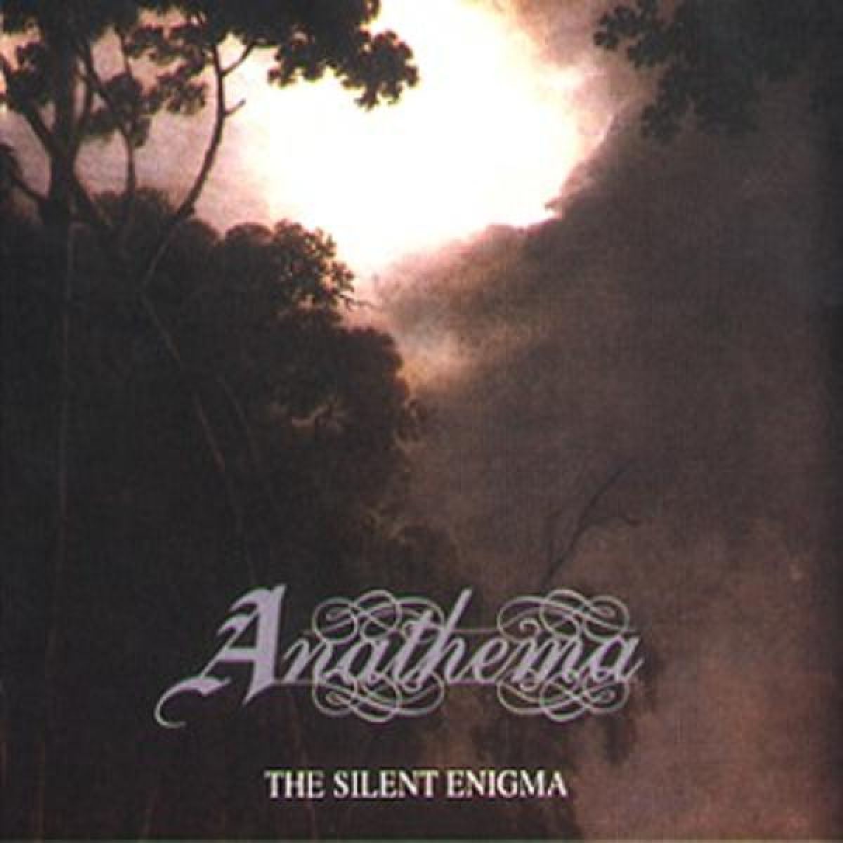 Afbeelding van The Silent Enigma