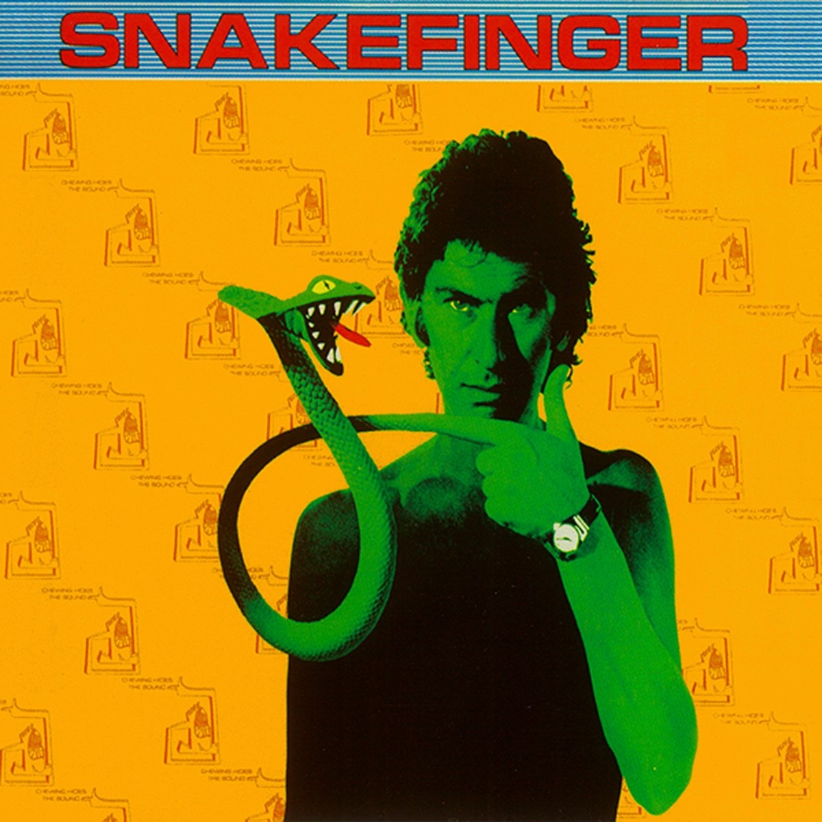 Afbeelding van Snakefinger - Chewing Hides The Sound