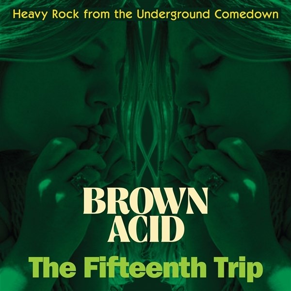 Afbeelding van Various Artists - Brown Acid: The Fifteenth Trip
