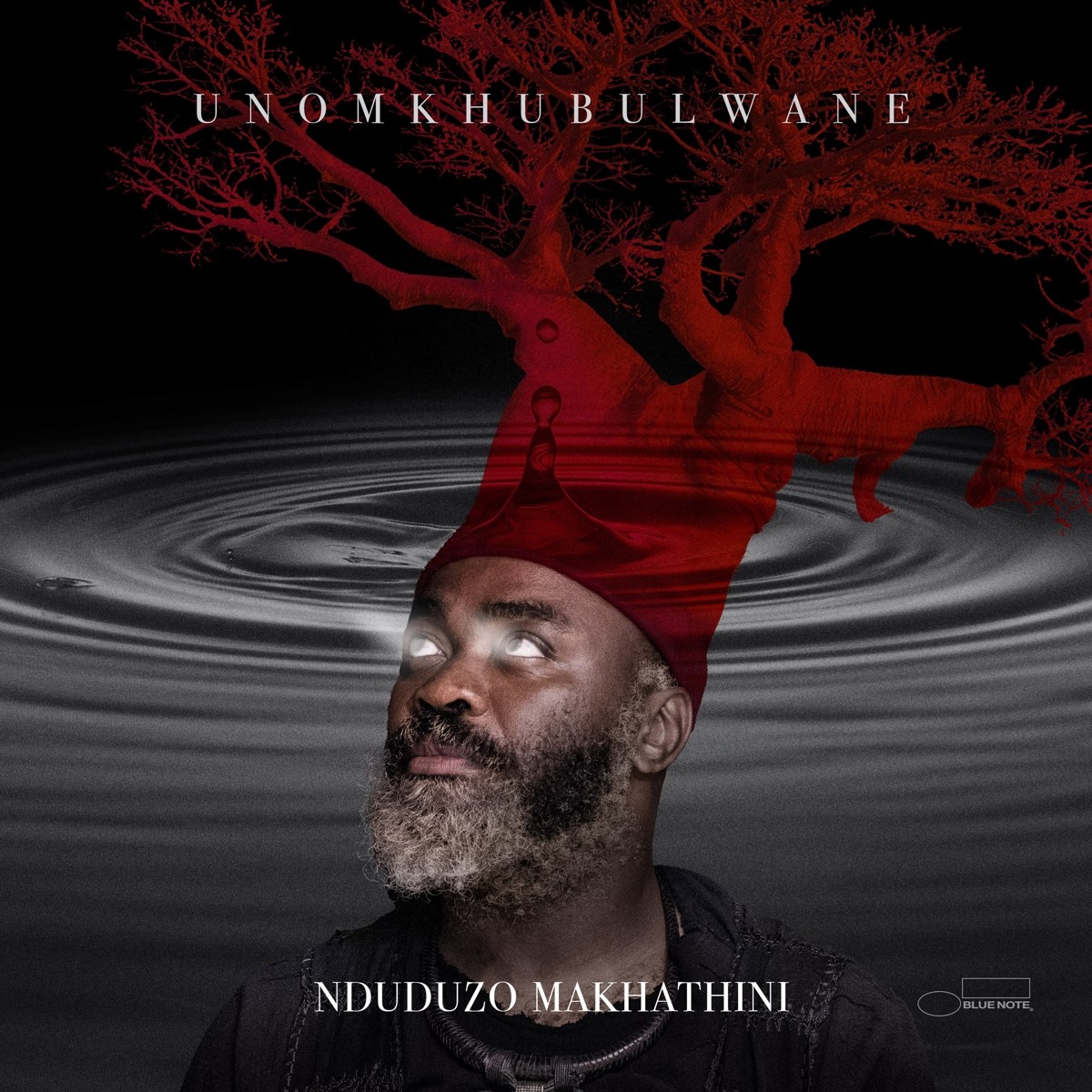 Afbeelding van Nduduzo Makhathini - Unomkhubulwane
