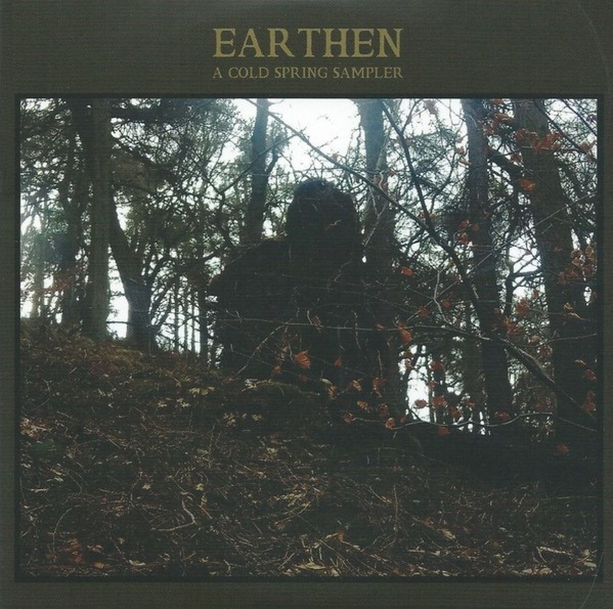 Afbeelding van Various Artists - Earthen: A Cold Spring Sampler