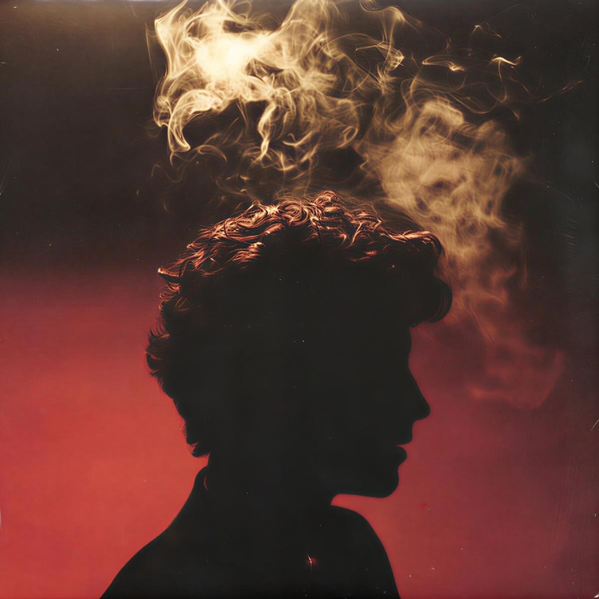 Afbeelding van Shawn Mendes - Heart Of Gold / The Mountain