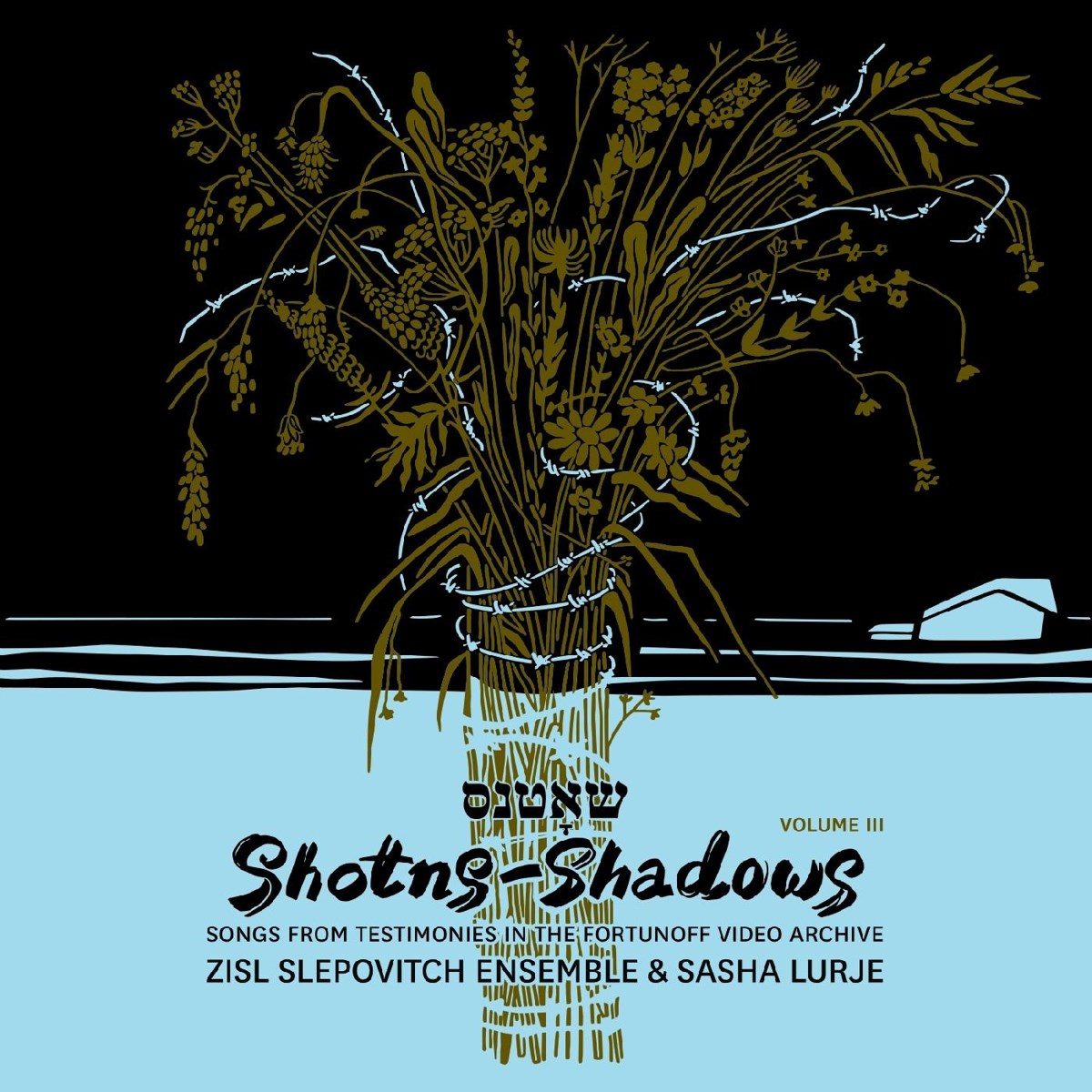 Afbeelding van Zisl Slepovitch Ensemble & Sasha Lurje - Shotns: Shadows