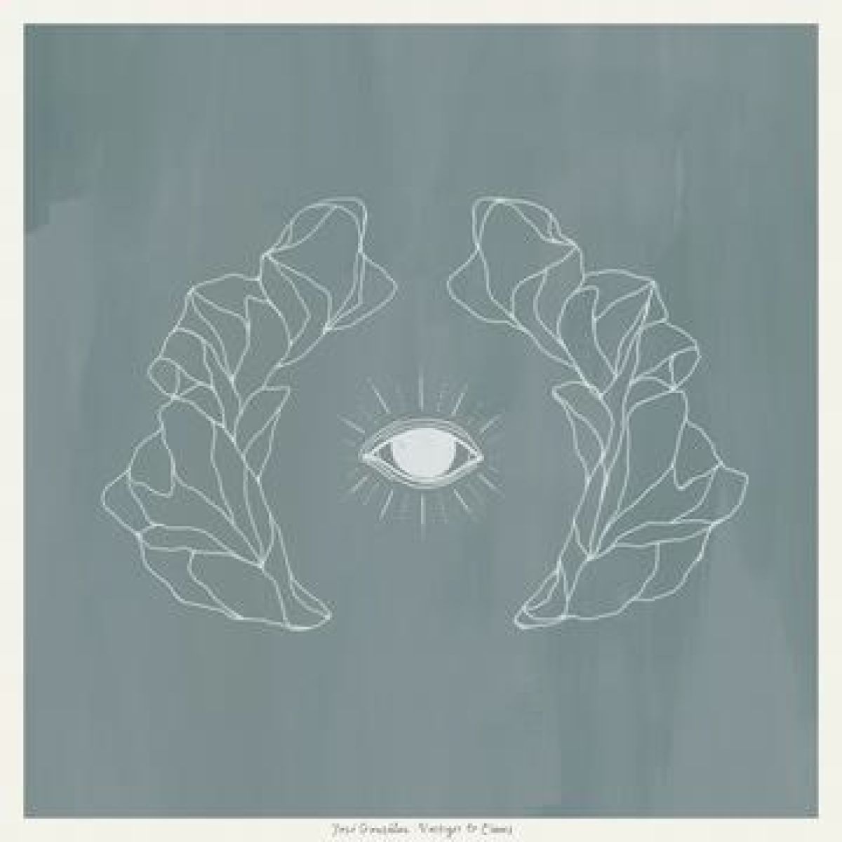 Afbeelding van José González - Vestiges & Claws